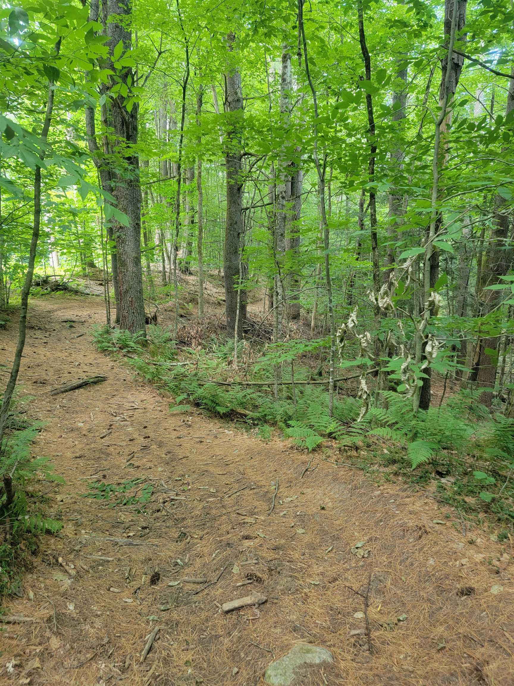 18 Hidden Valley Road photo 5