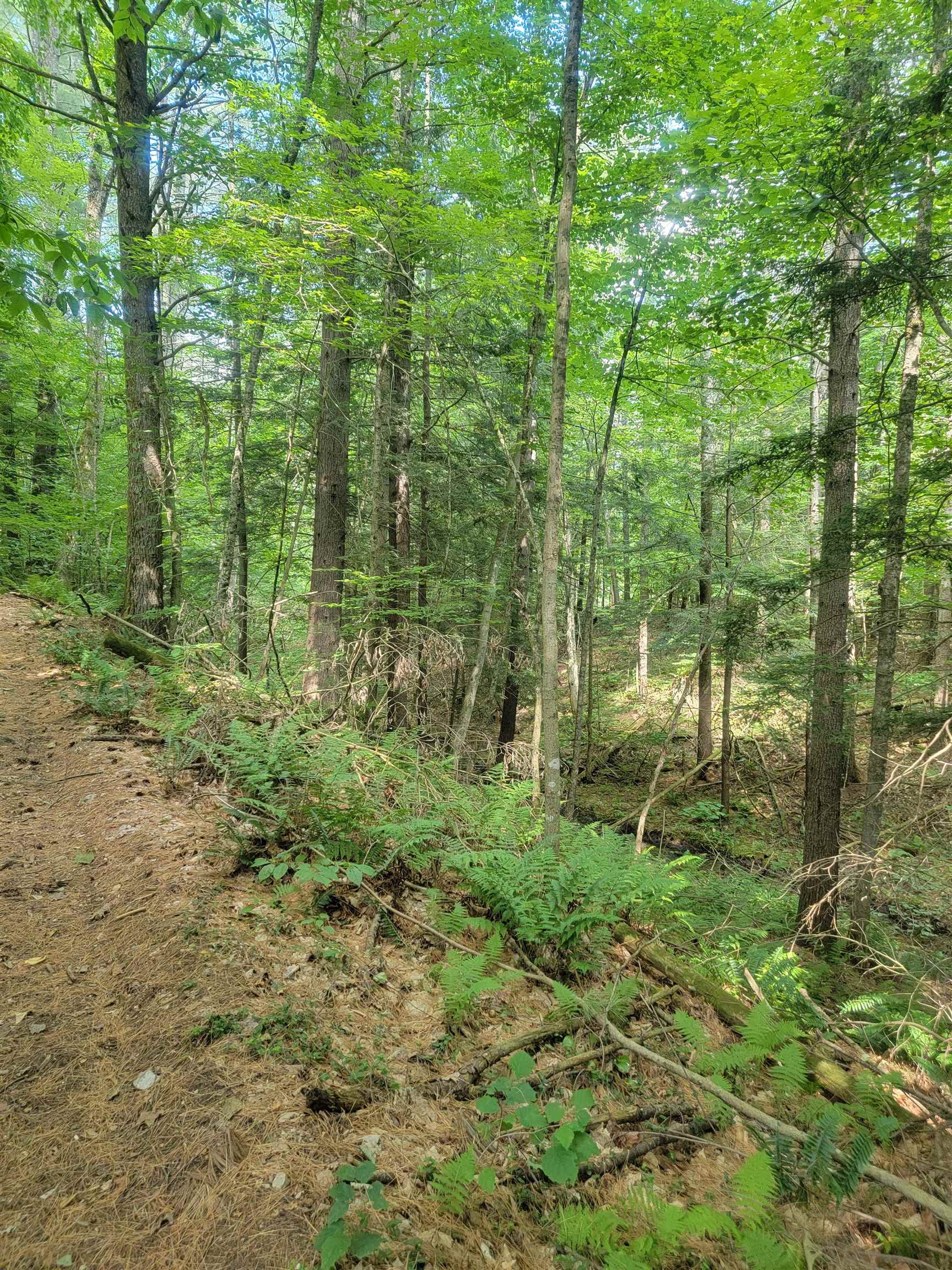 18 Hidden Valley Road photo 6