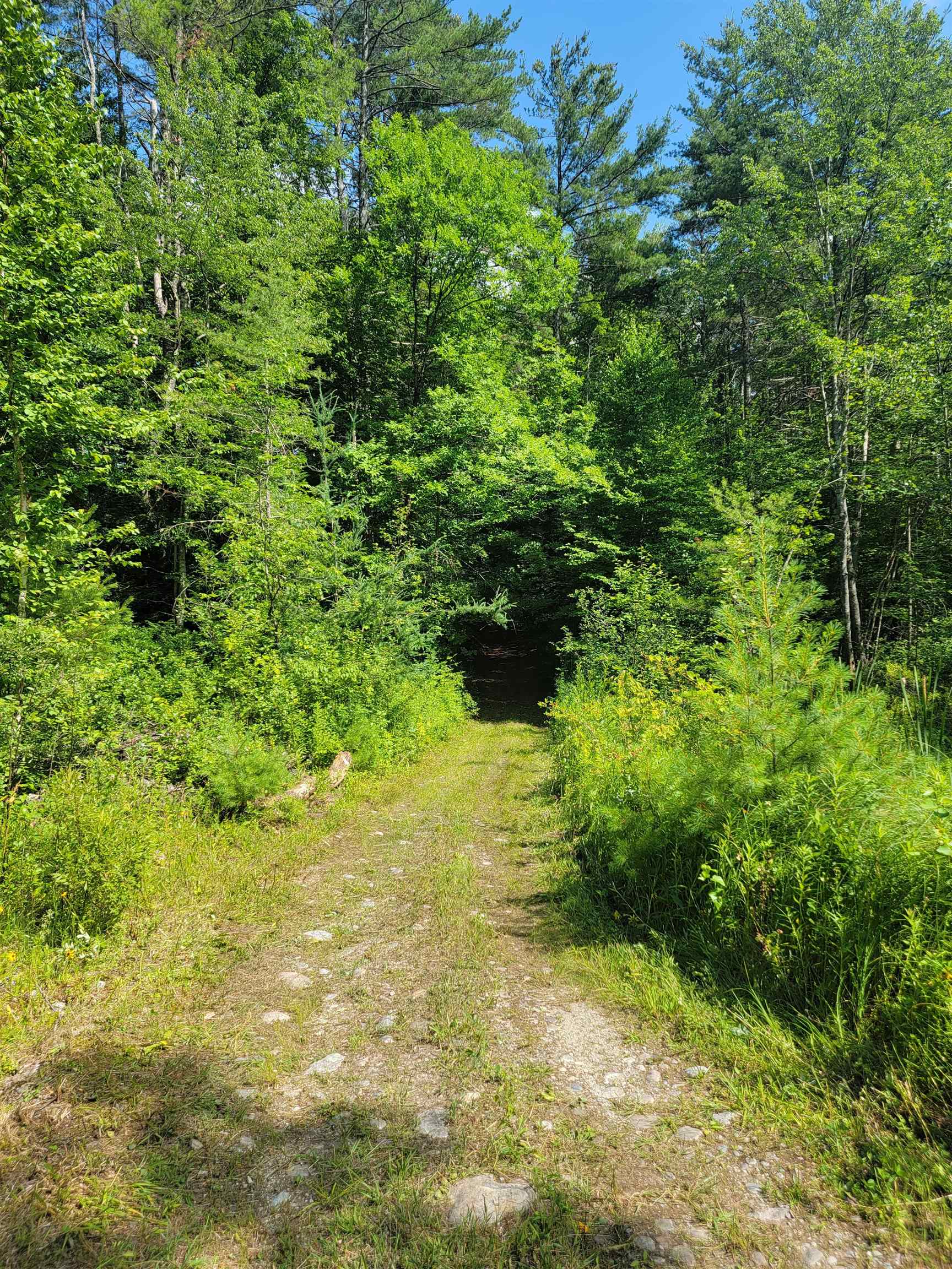 18 Hidden Valley Road photo 8