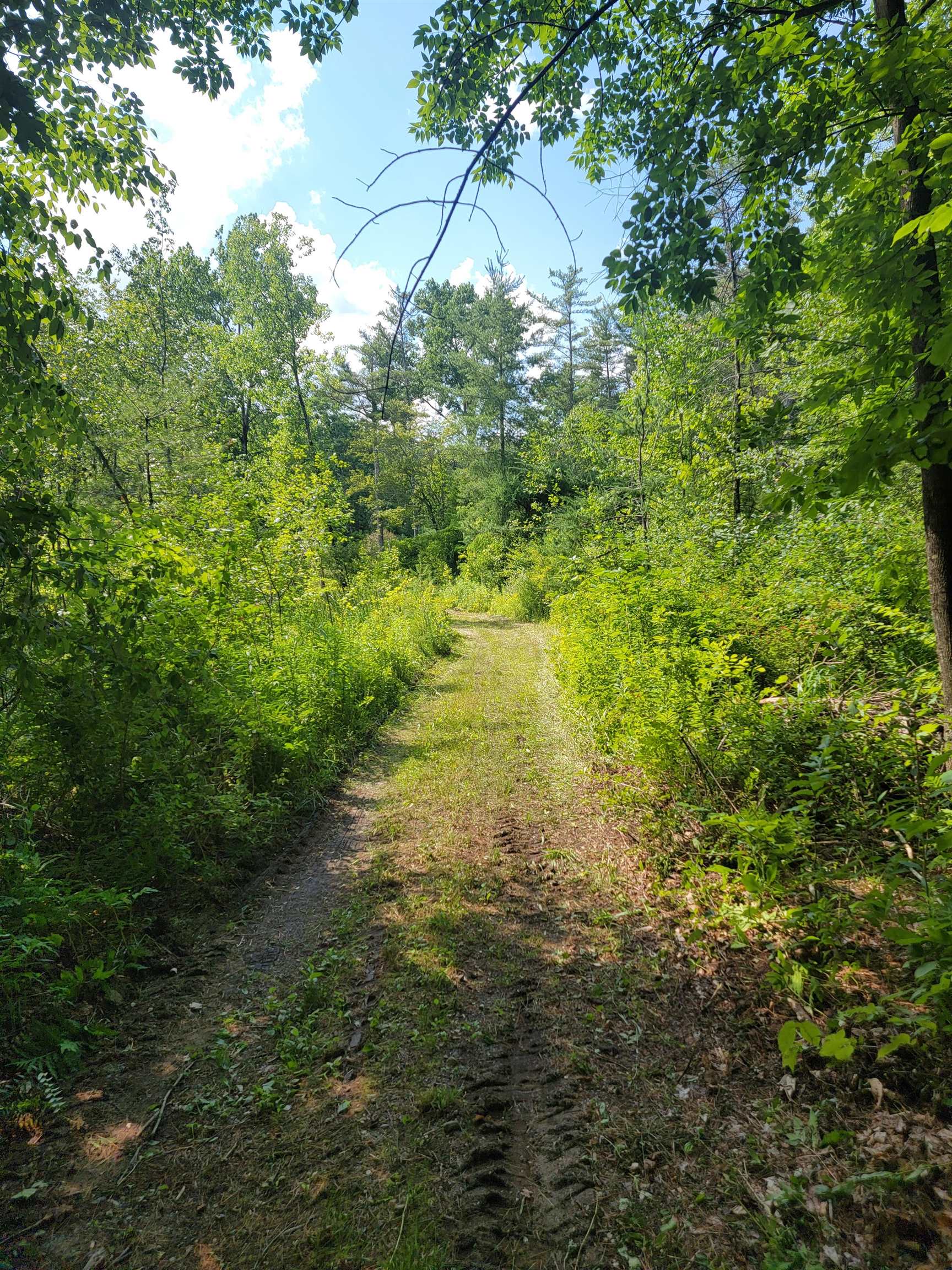 18 Hidden Valley Road photo 9
