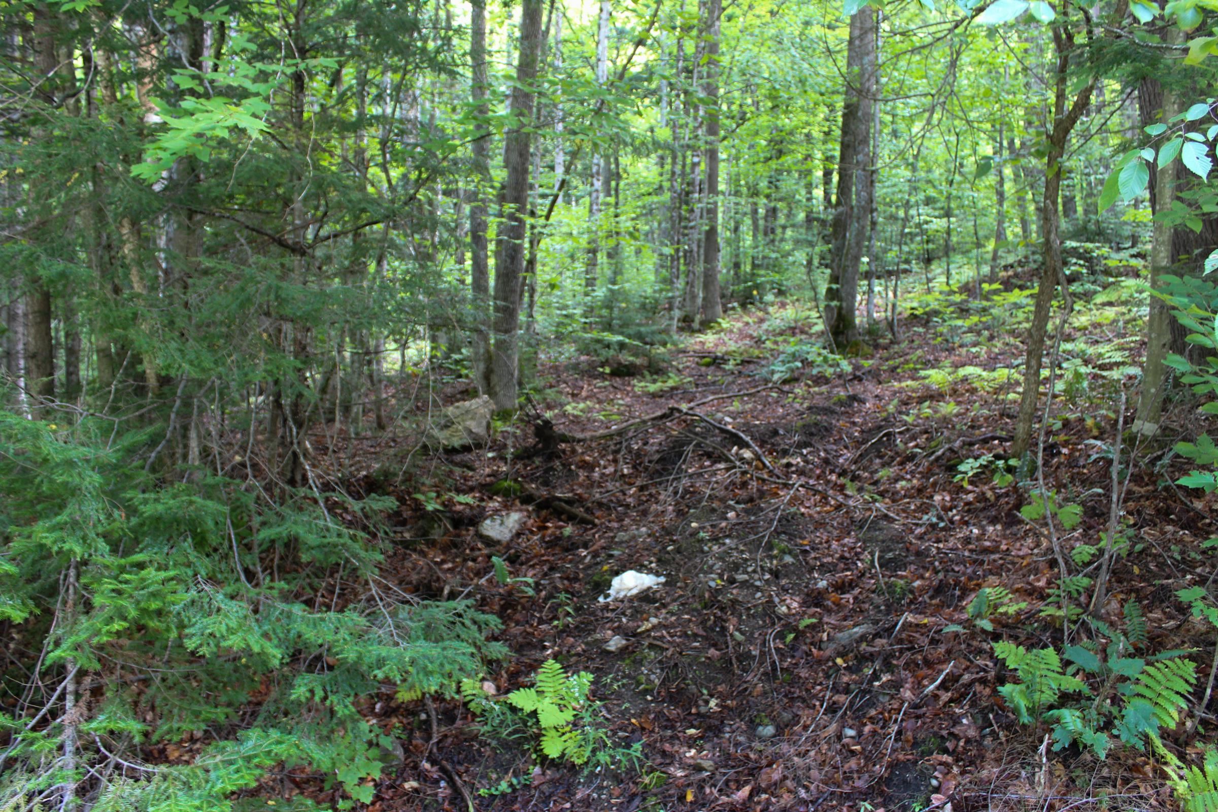 00 Hillcrest Road photo 1
