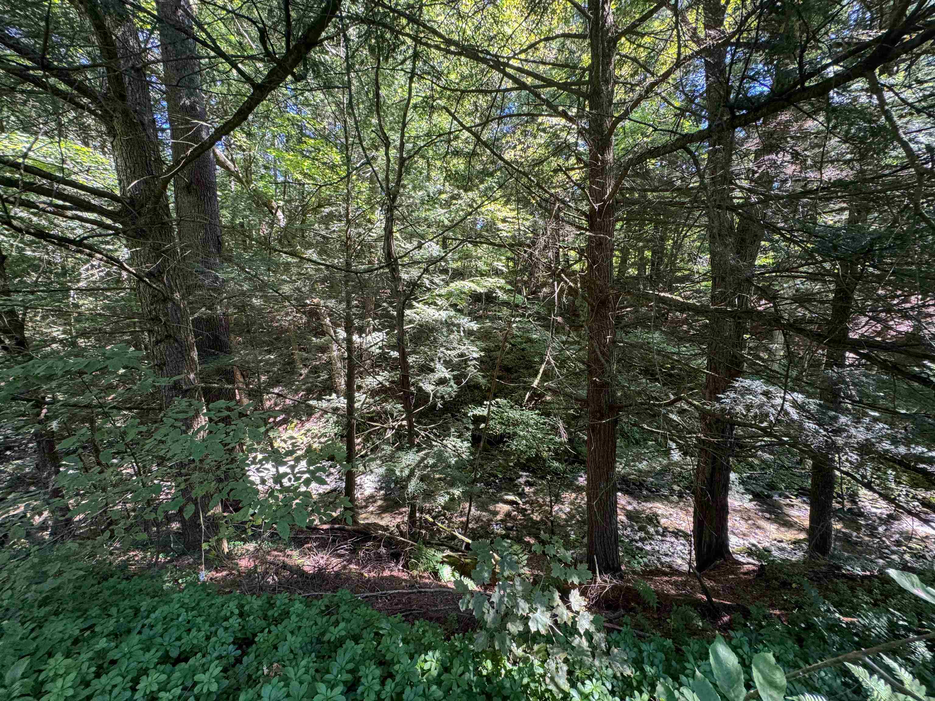 398 Tubs Road photo 12