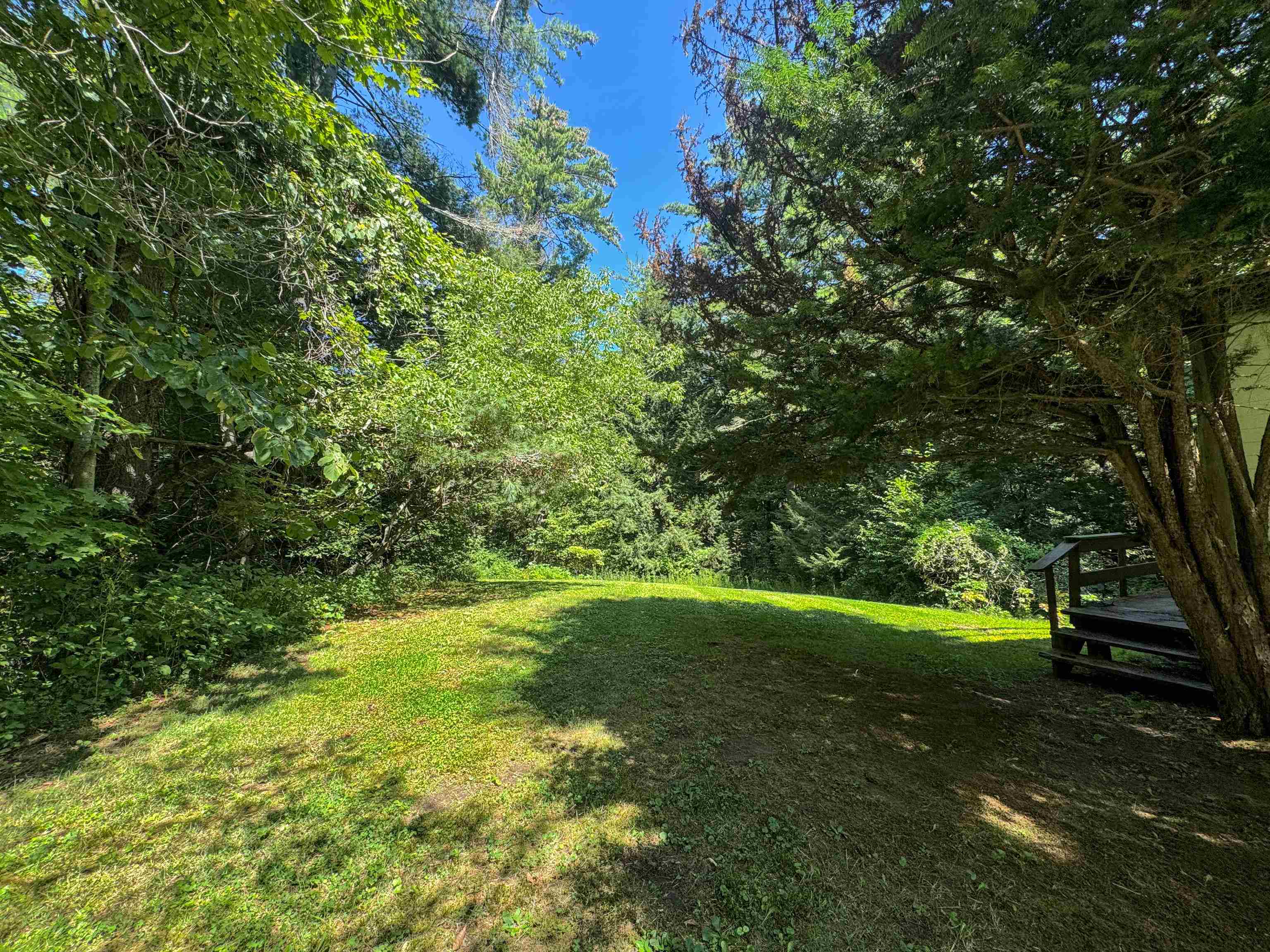 398 Tubs Road photo 13