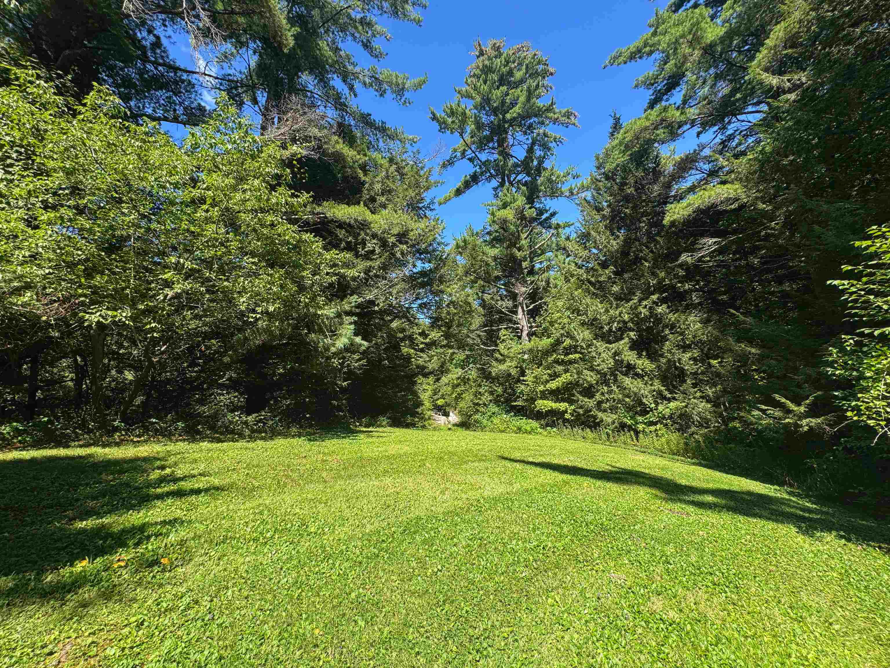 398 Tubs Road photo 14