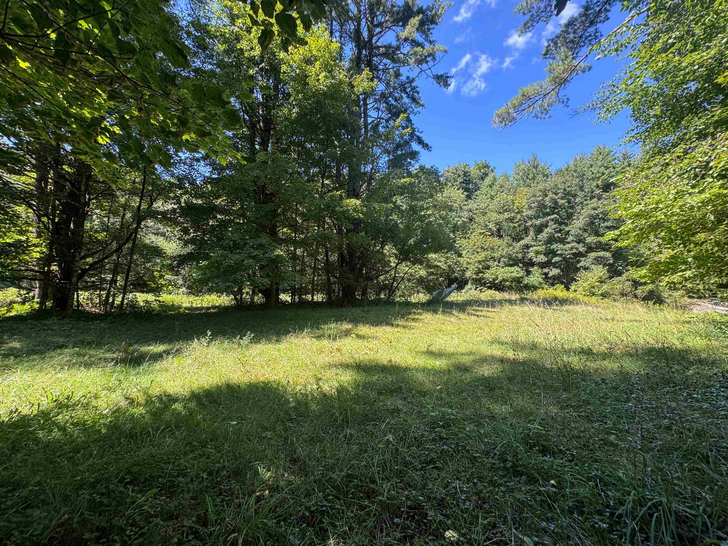 398 Tubs Road photo 15