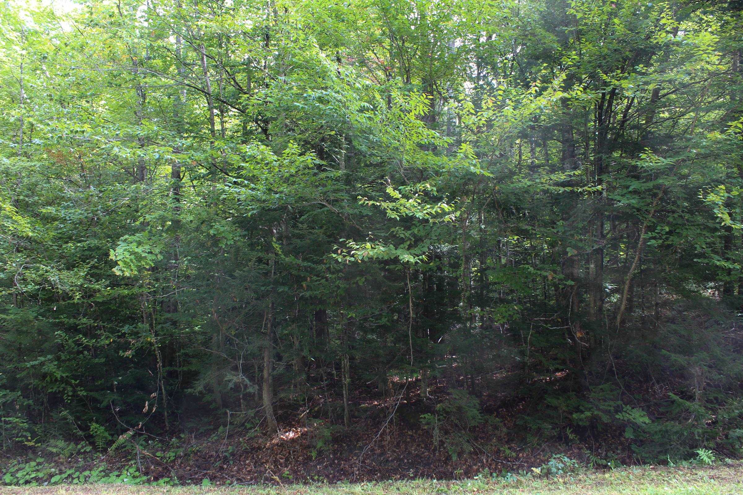 00 Hillcrest Road photo 2