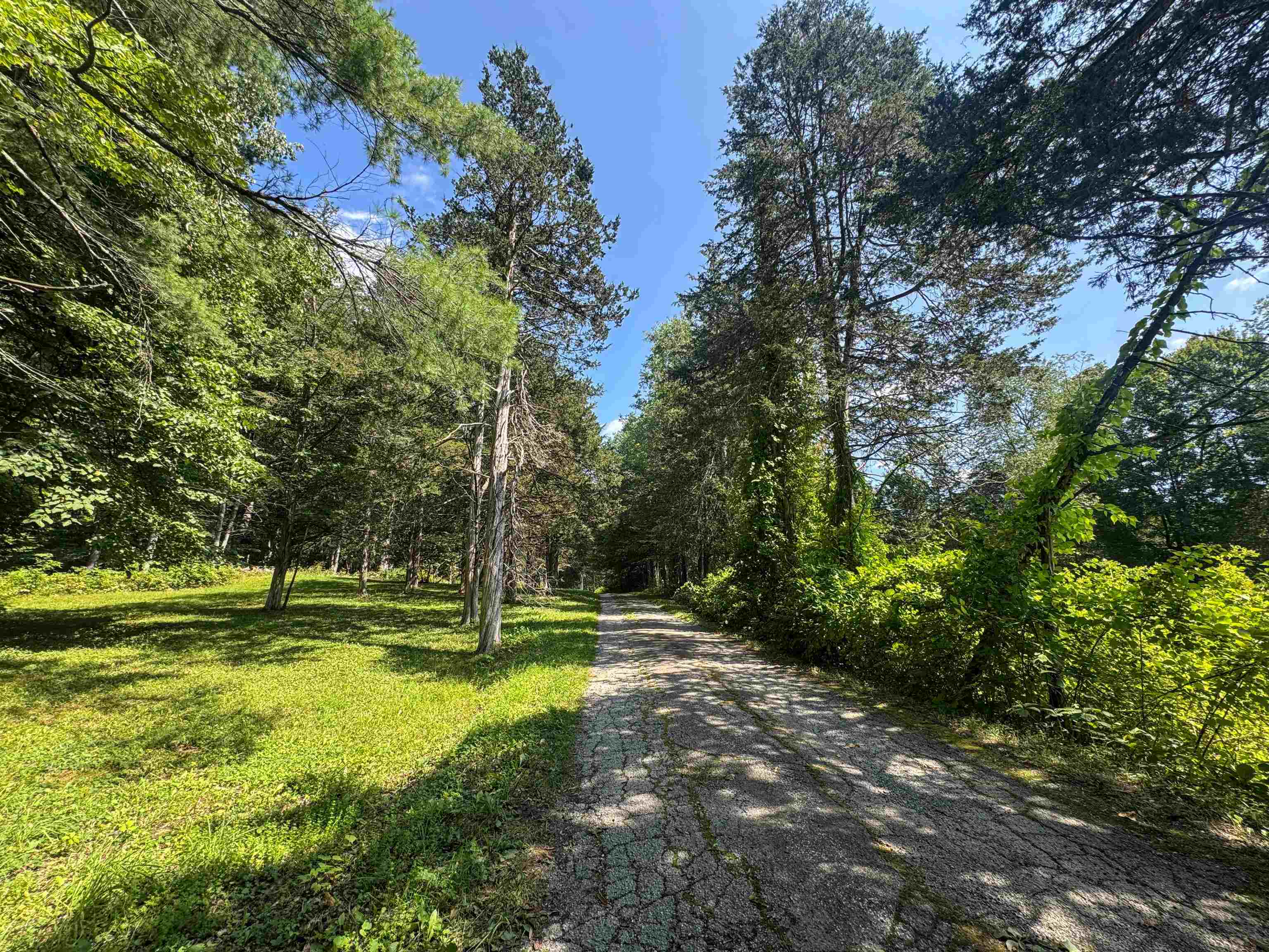 398 Tubs Road photo 3