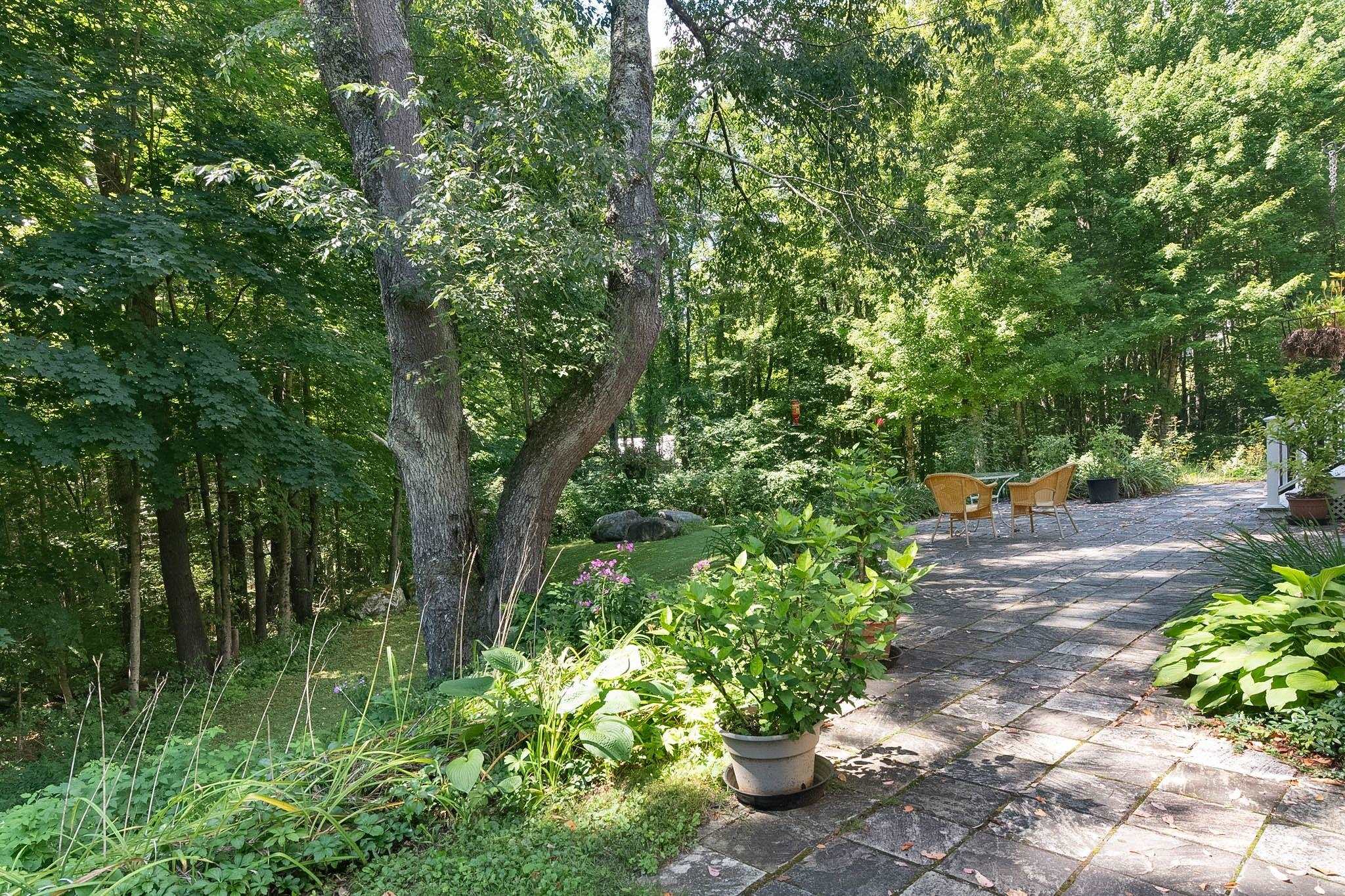 354 Orchard Street photo 31