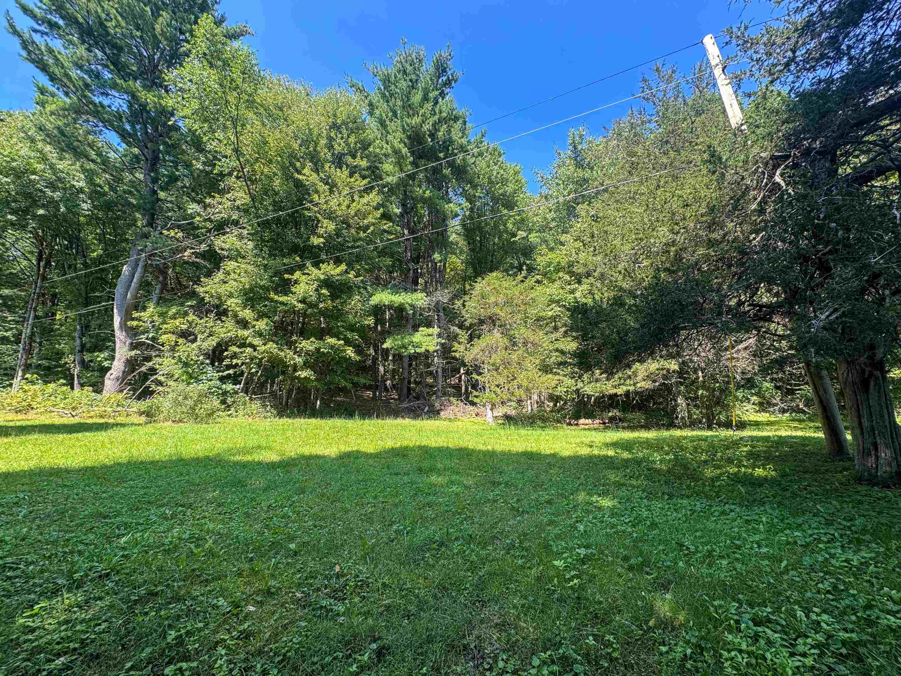 398 Tubs Road photo 4