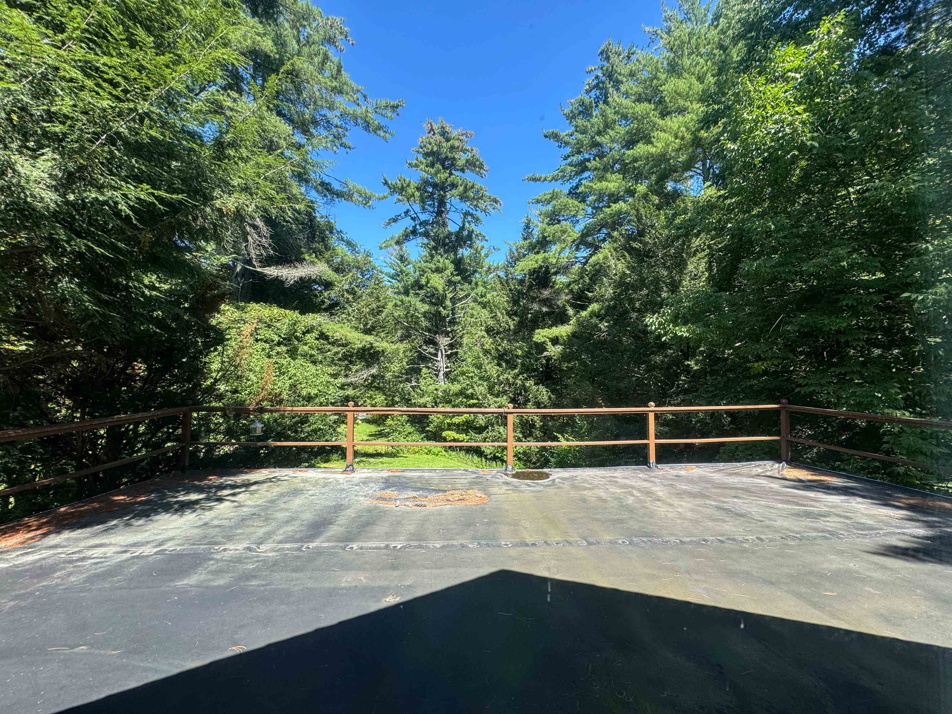 398 Tubs Road photo 43