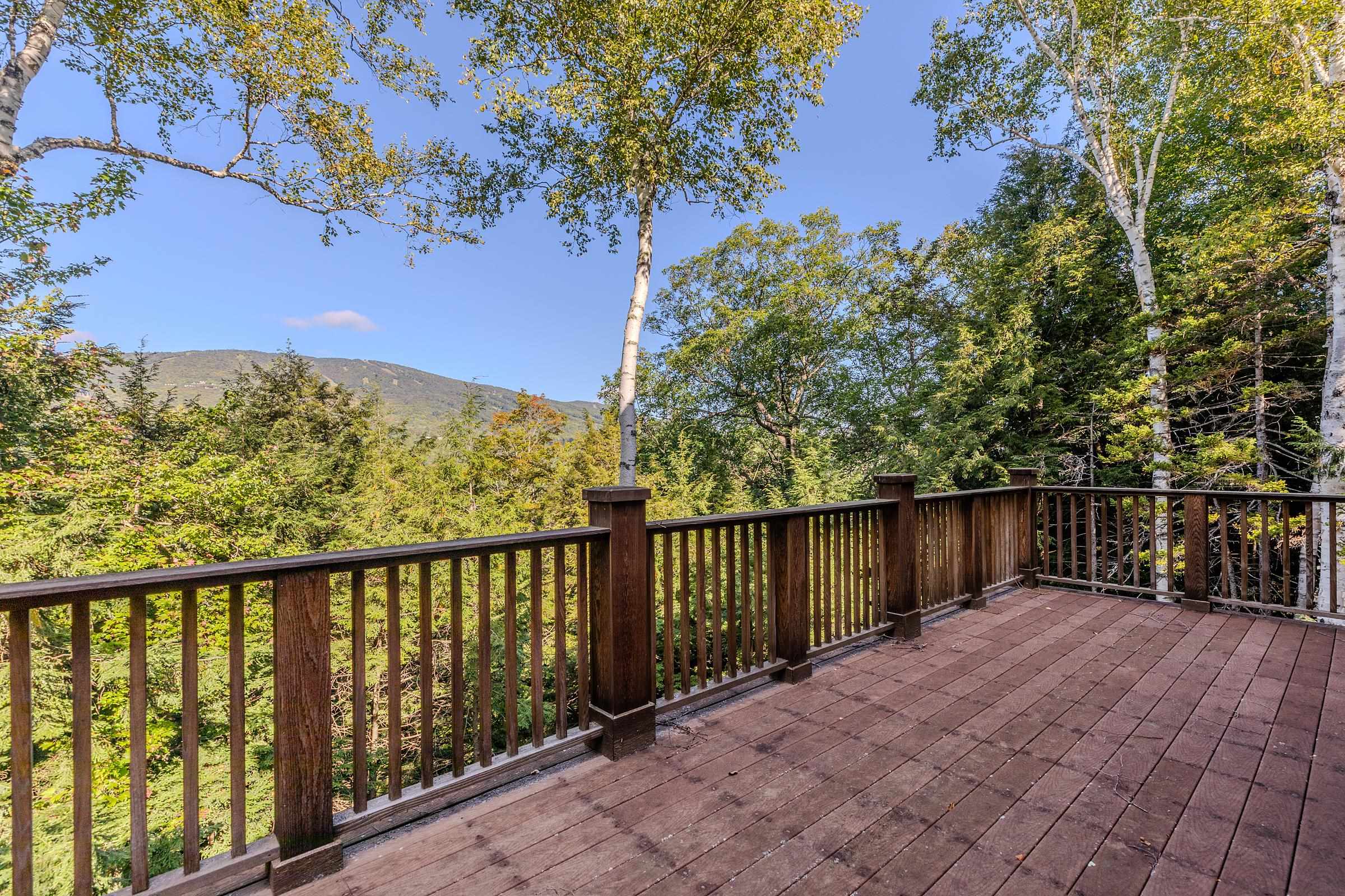 80 Bear Ridge Road photo 45