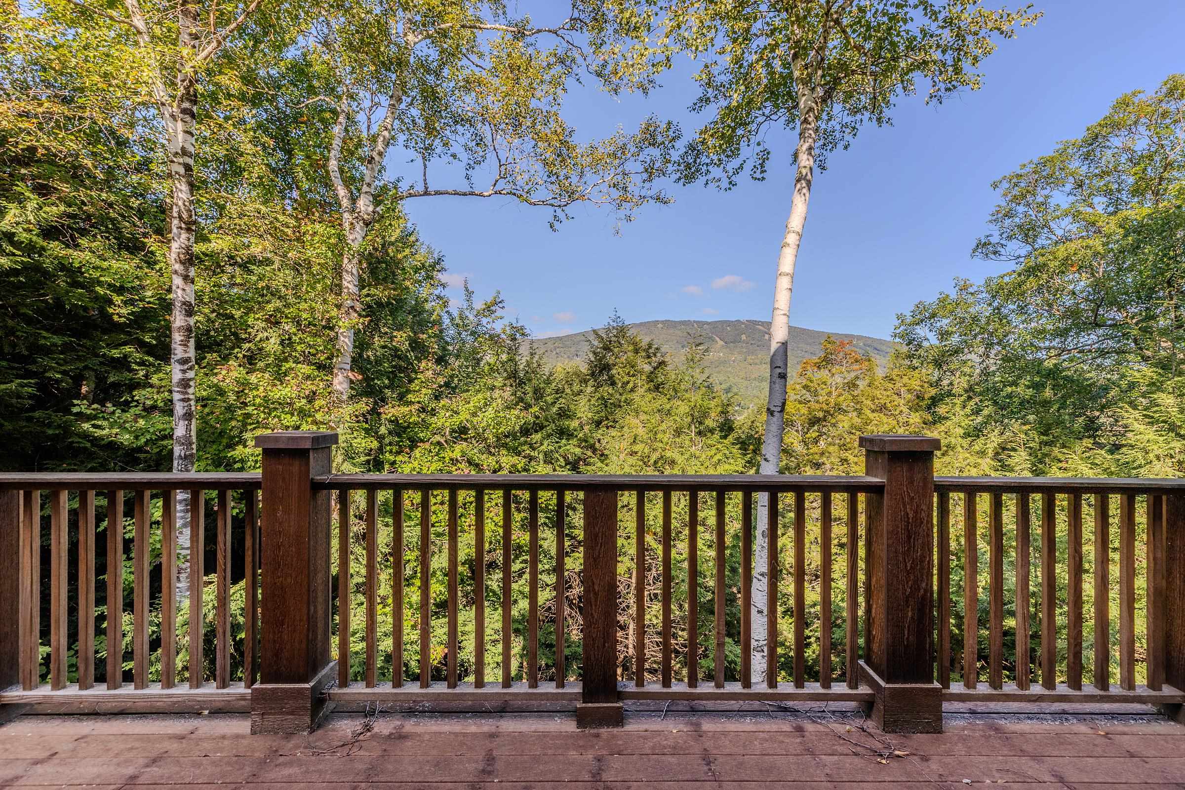 80 Bear Ridge Road photo 46