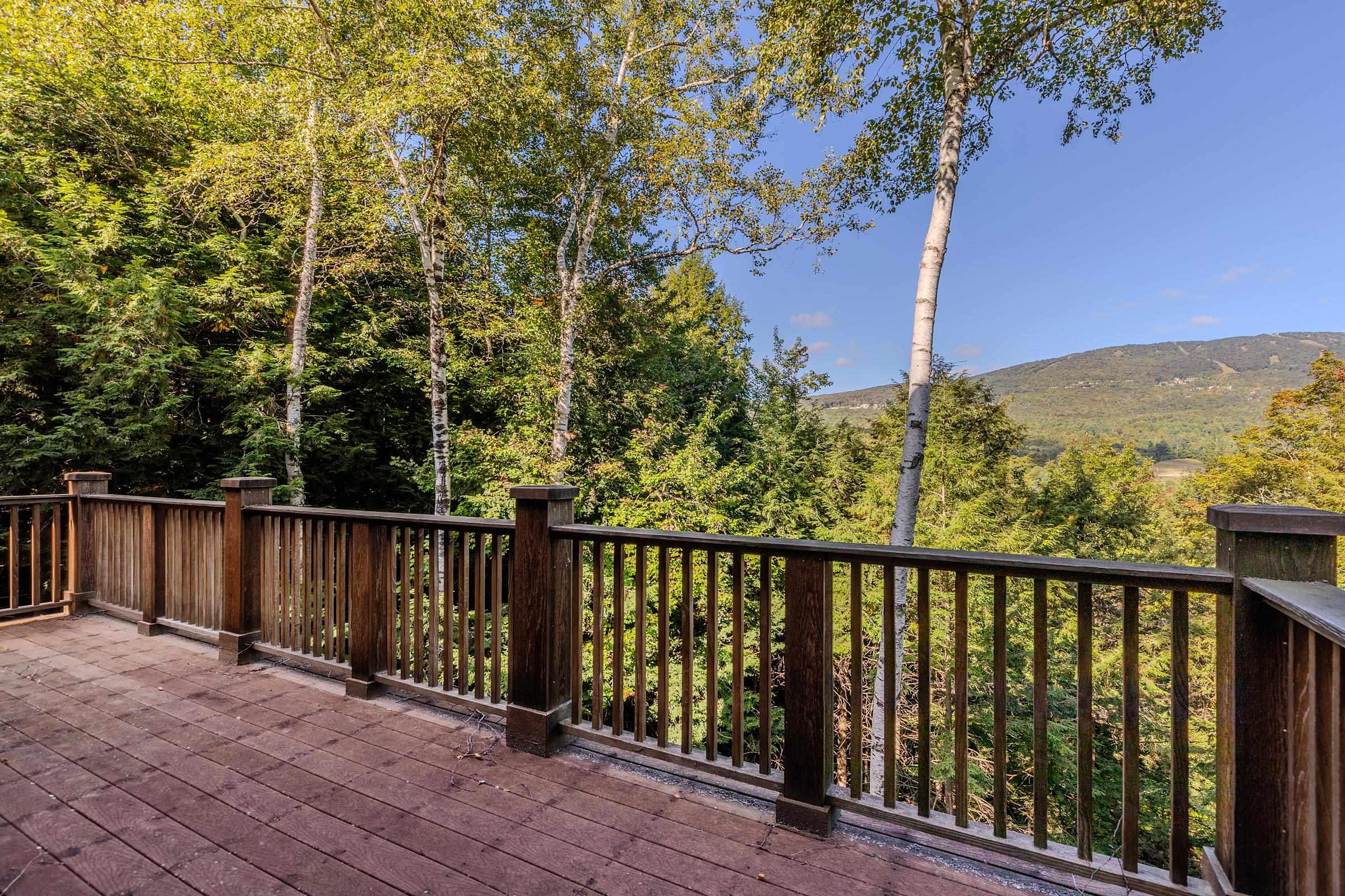80 Bear Ridge Road photo 47