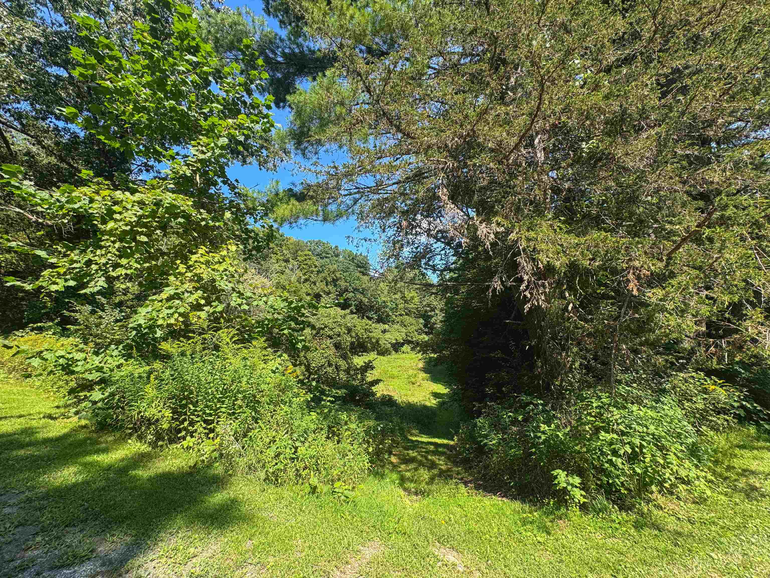 398 Tubs Road photo 5