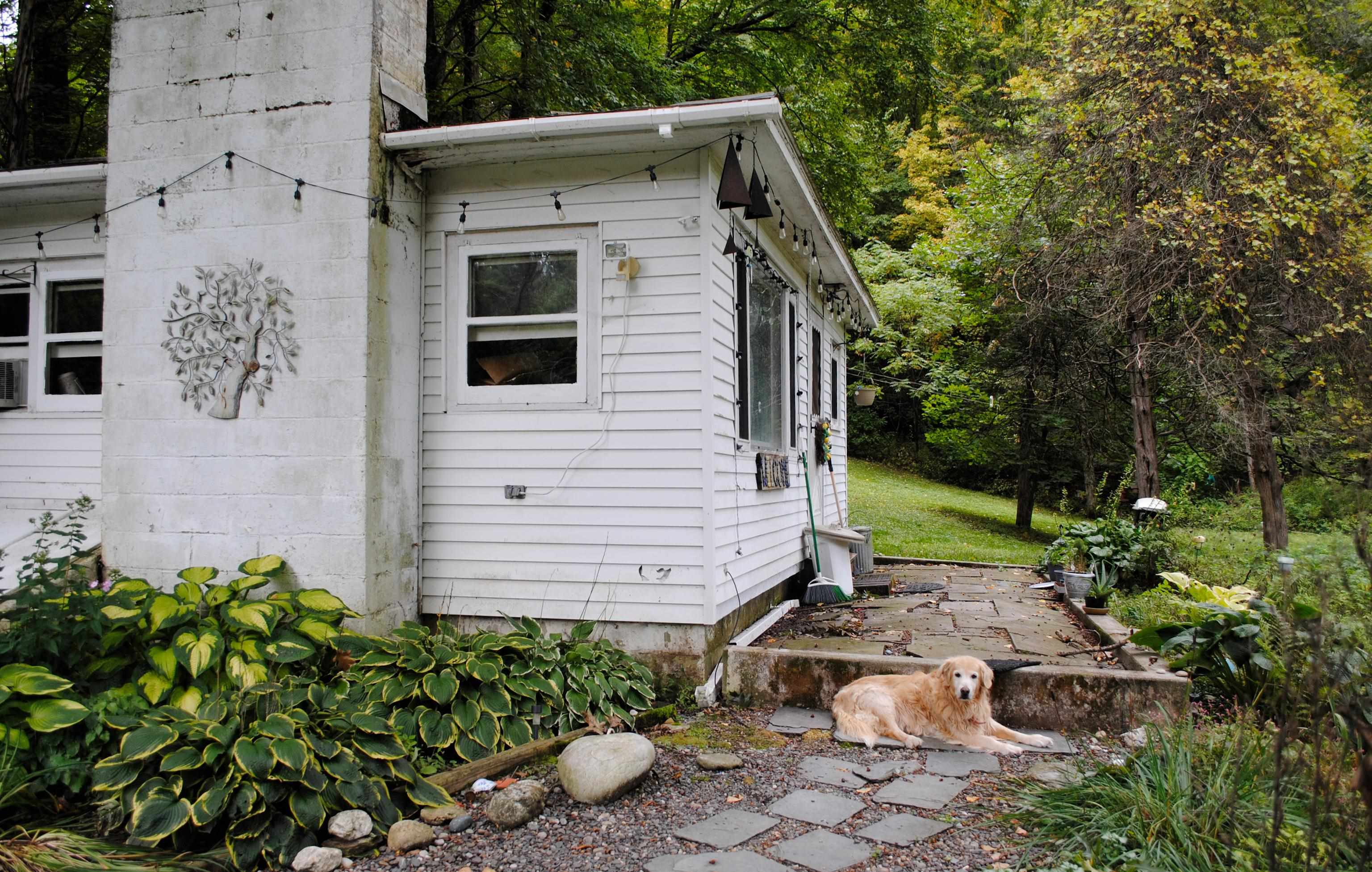 398 Tubs Road photo 52