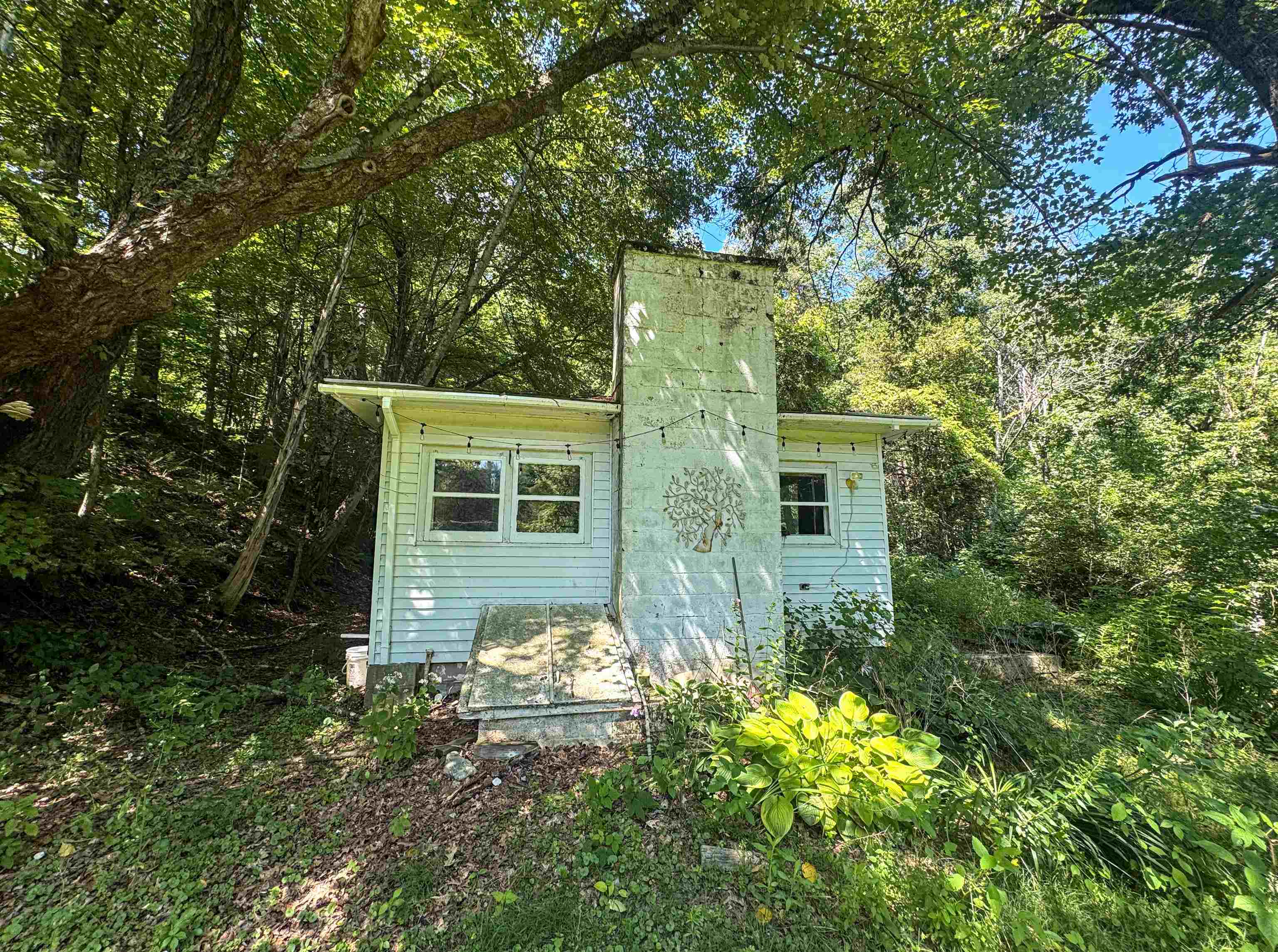 398 Tubs Road photo 53