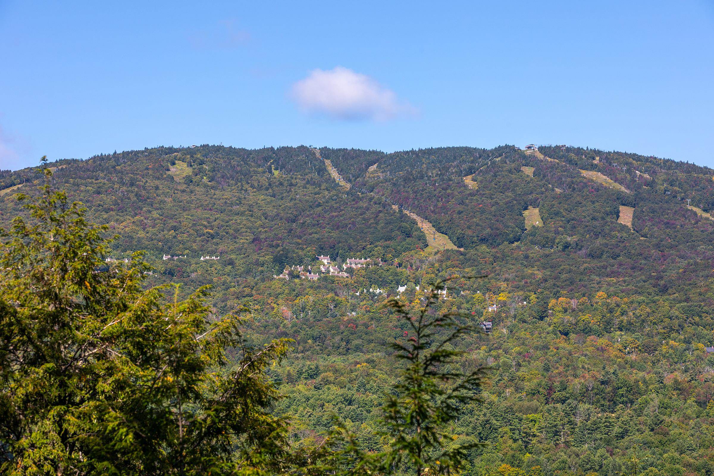 80 Bear Ridge Road photo 56