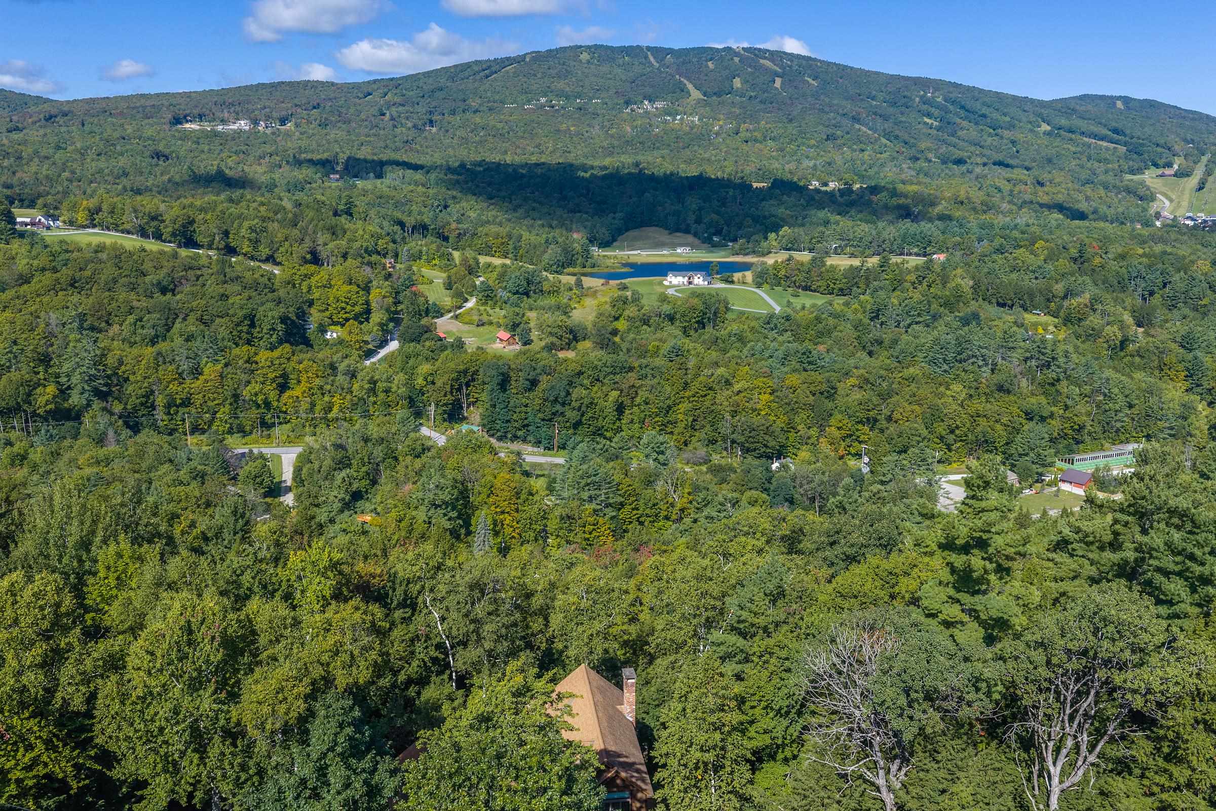 80 Bear Ridge Road photo 57