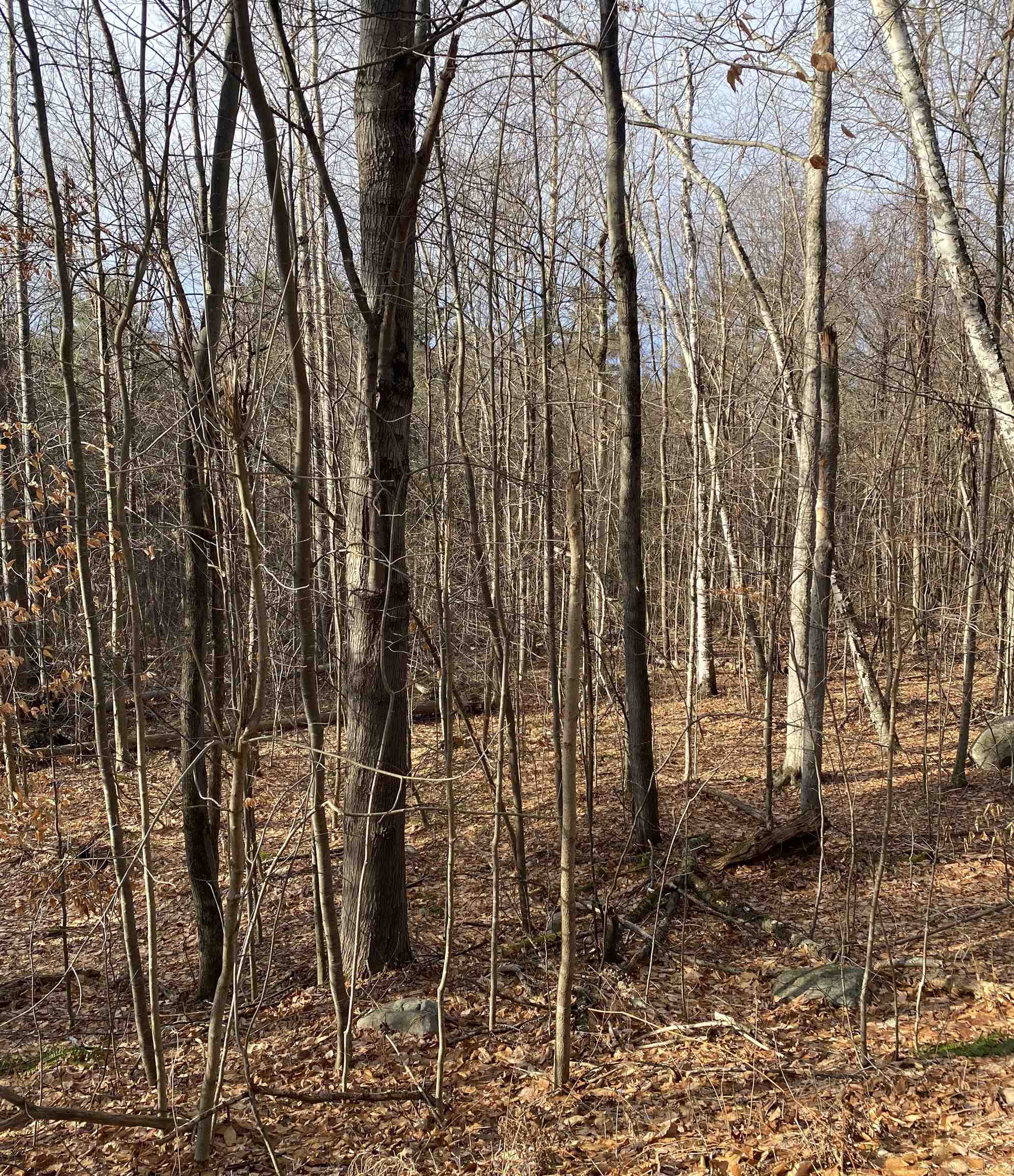 near 376 South Ridge Drive Middlebury, VT 05753 Property 4