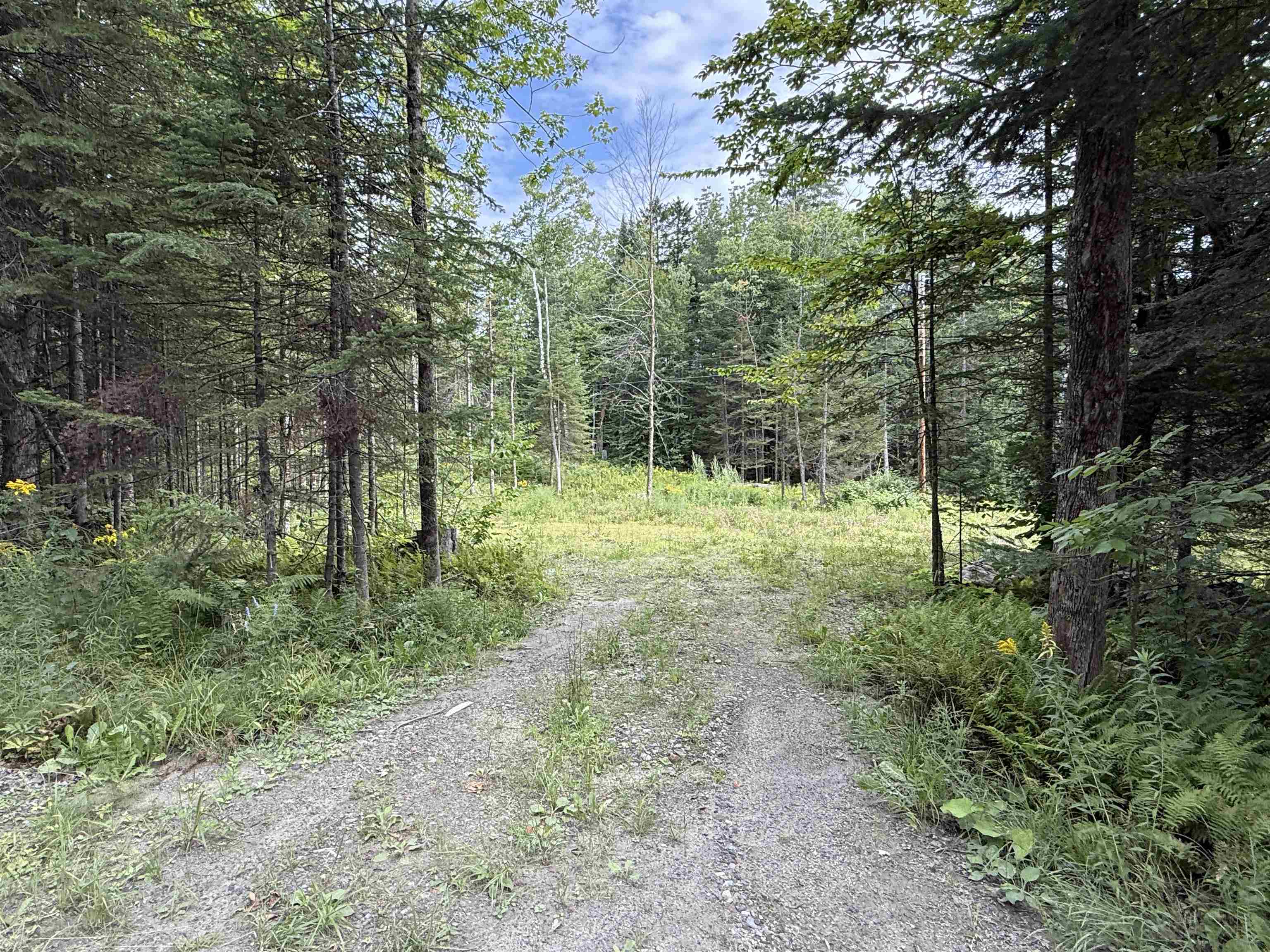 Lot 58 Pond Hill Road photo 10