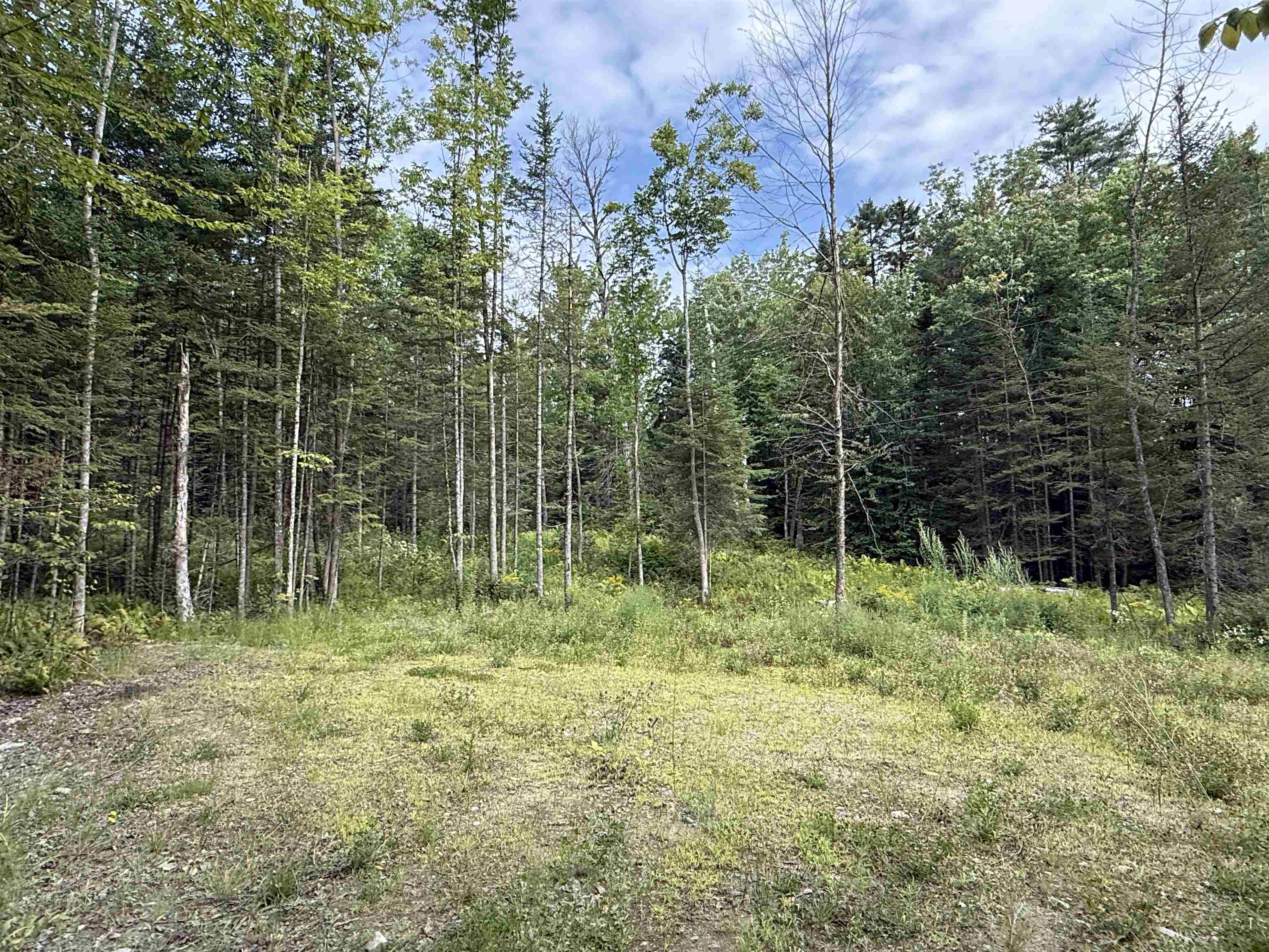 Lot 58 Pond Hill Road photo 11