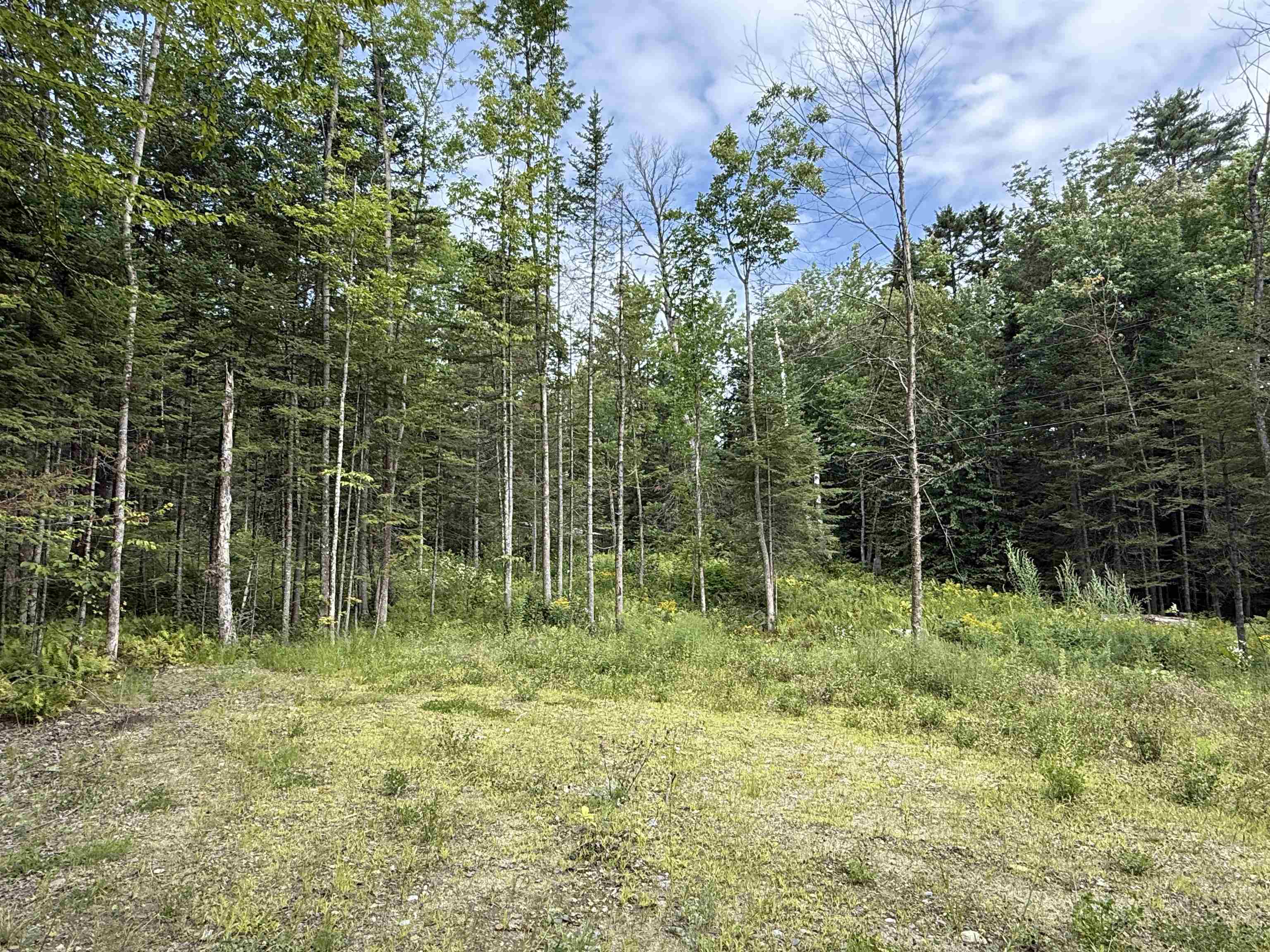 Lot 58 Pond Hill Road photo 12