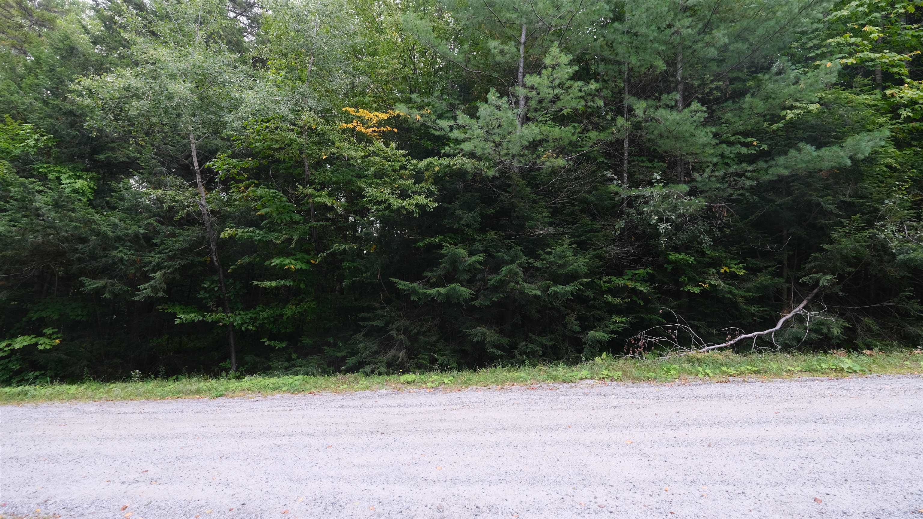 0 Bear Ridge Road photo 3