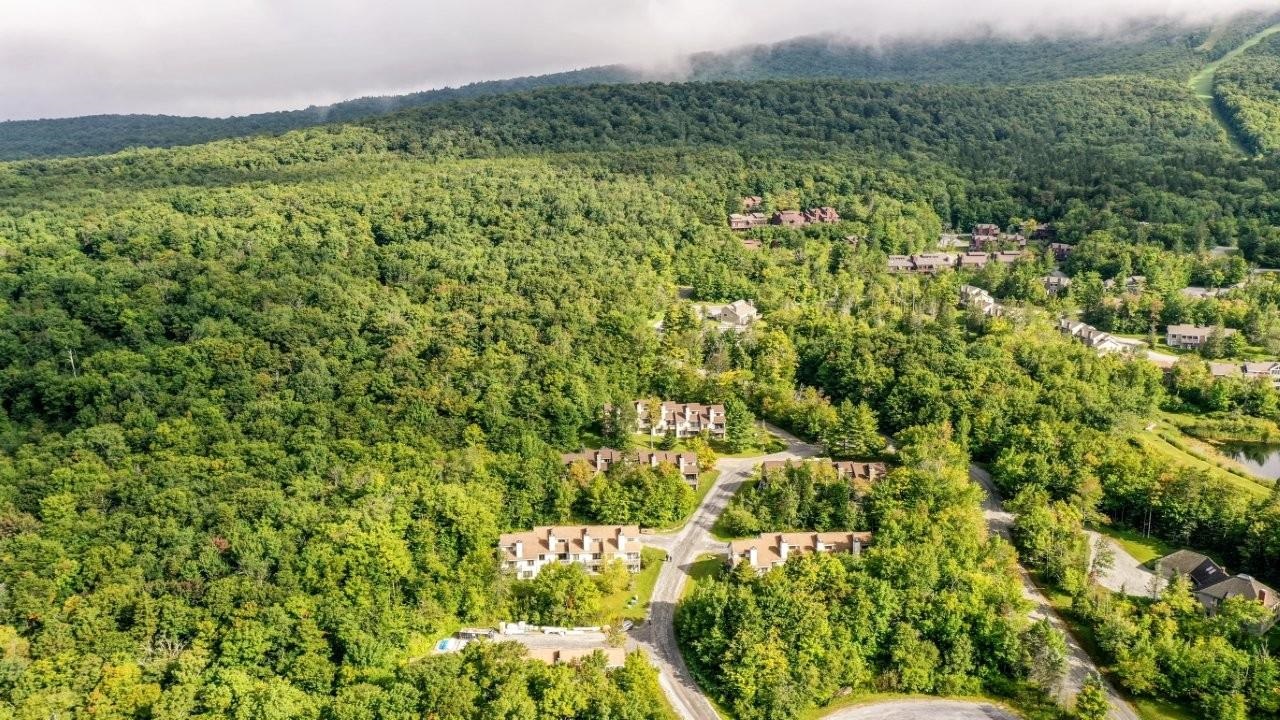 88 Sugar Brook Road photo 39