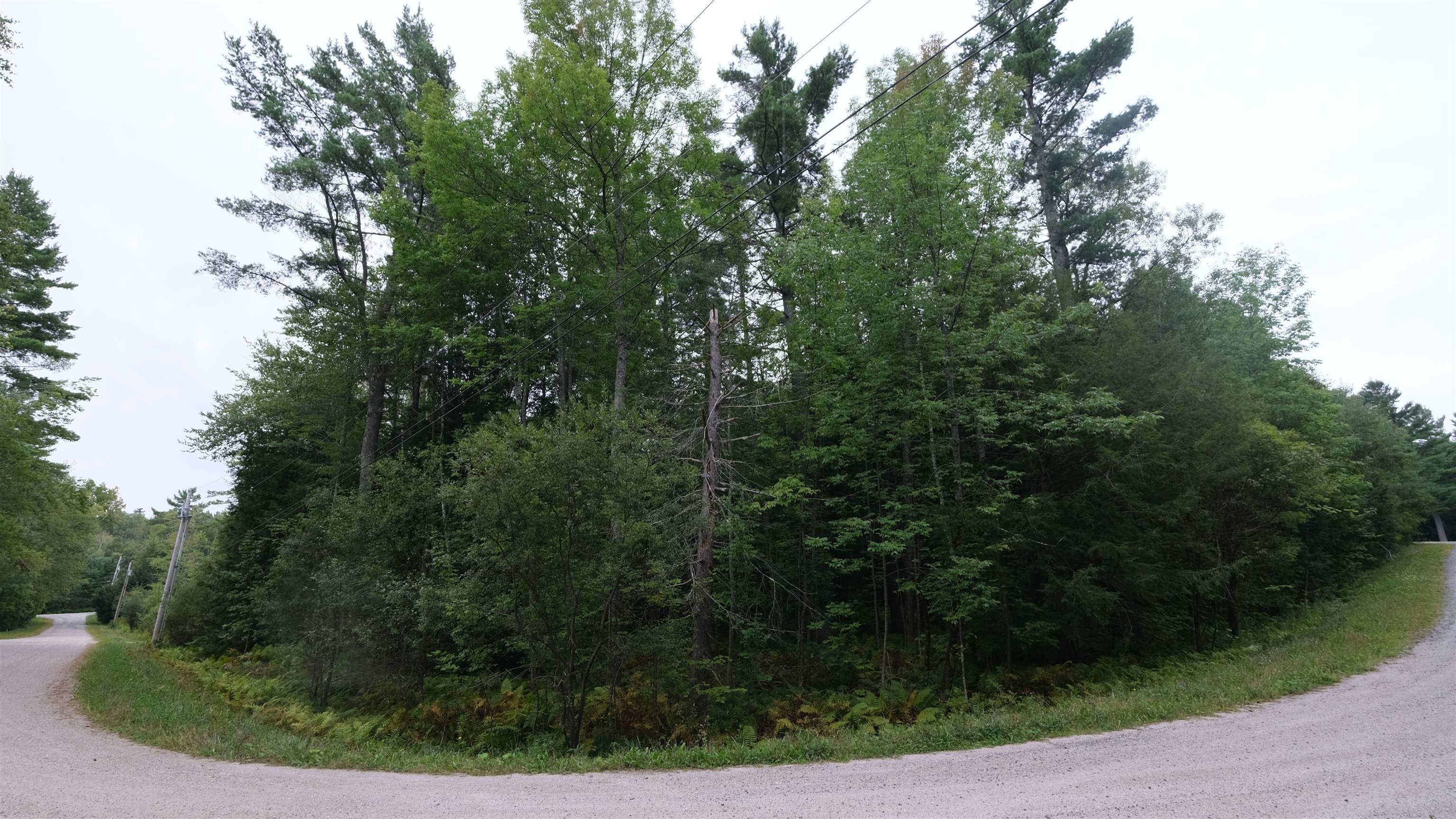 0 Bear Ridge Road photo 4