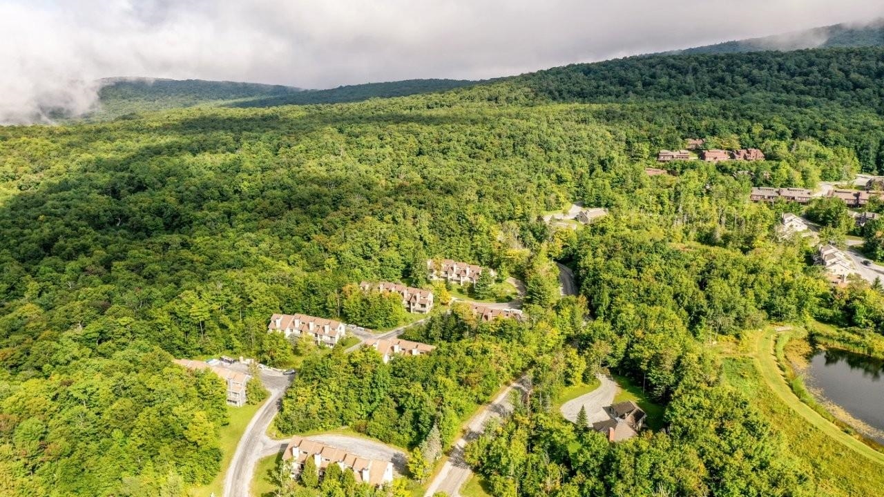 88 Sugar Brook Road photo 40