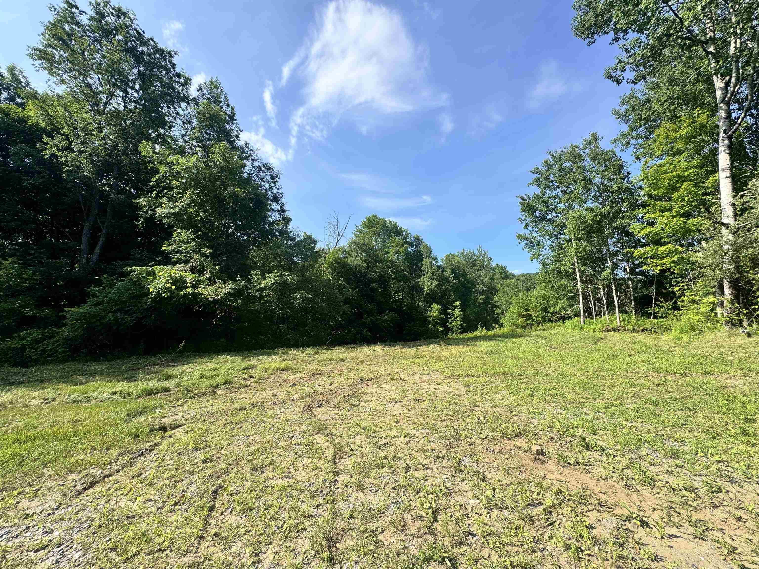 2574 Chelsea Road photo 7