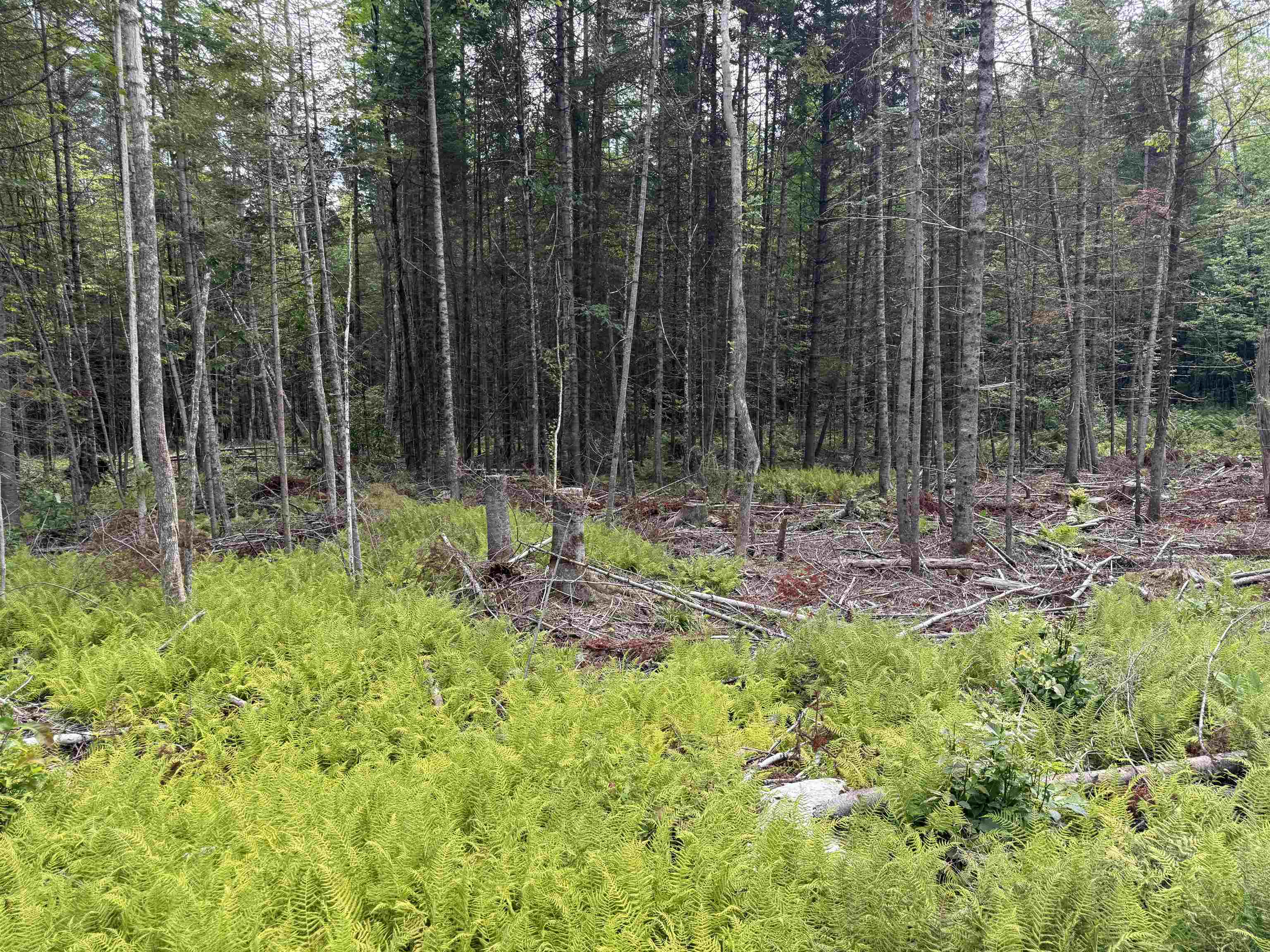 Lot 58 Pond Hill Road photo 7