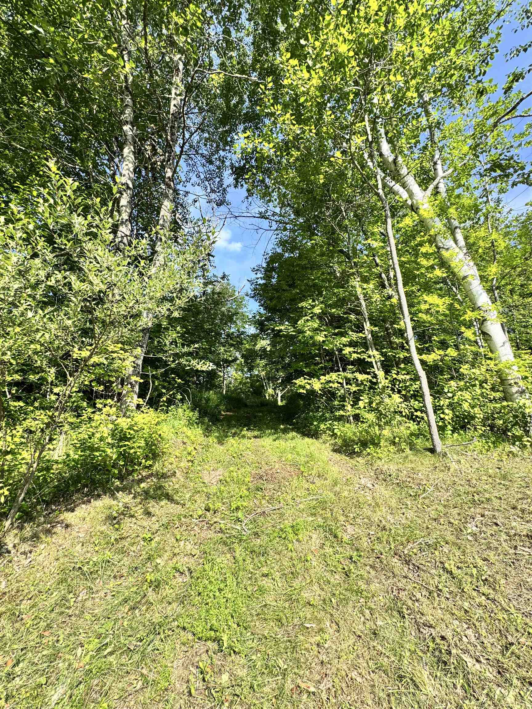 2574 Chelsea Road photo 8