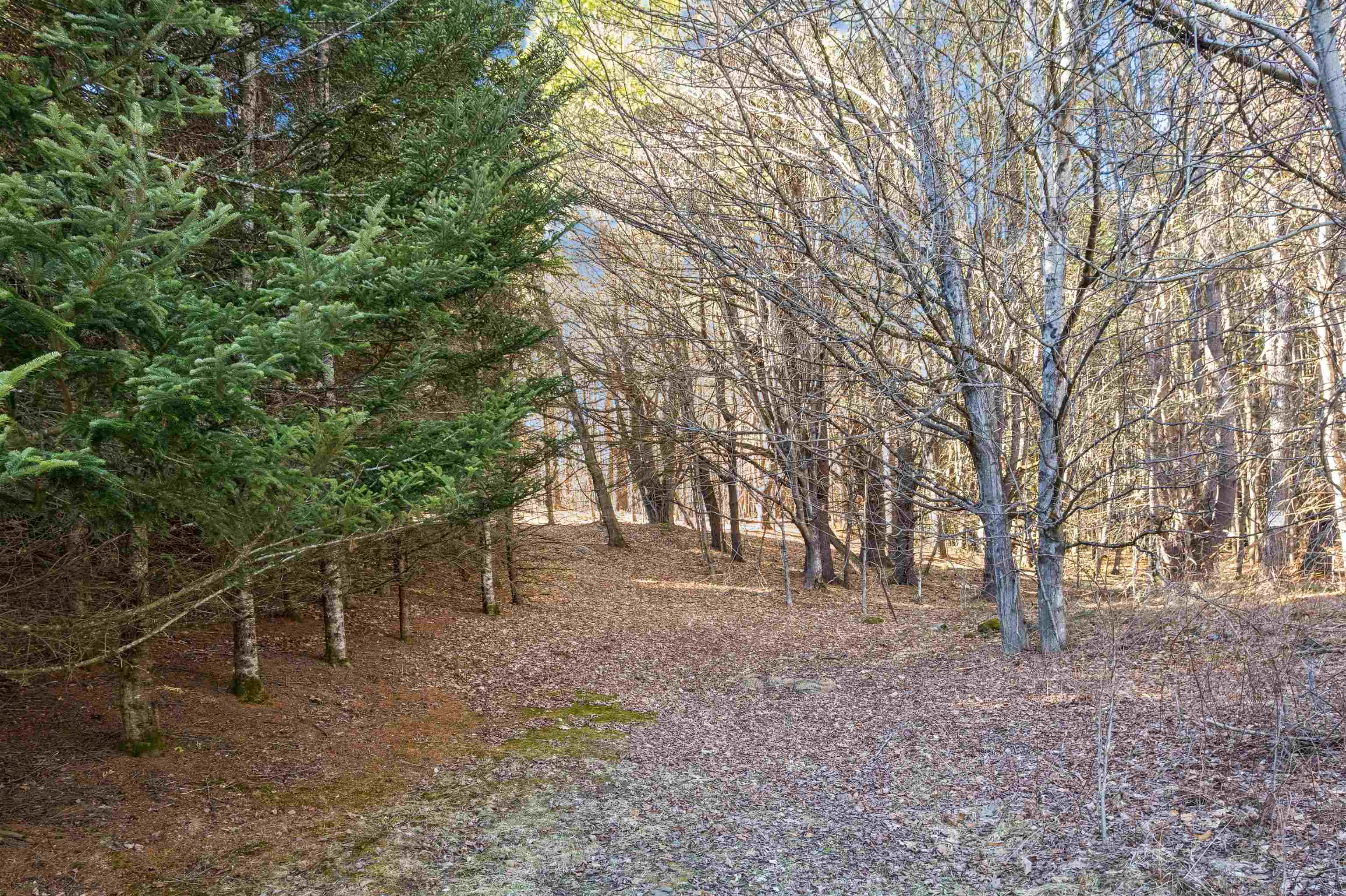 near 51 Loveland Road Norwich, VT 05055 Property 4 near 51 Loveland Road Norwich, VT 05055 Property 4