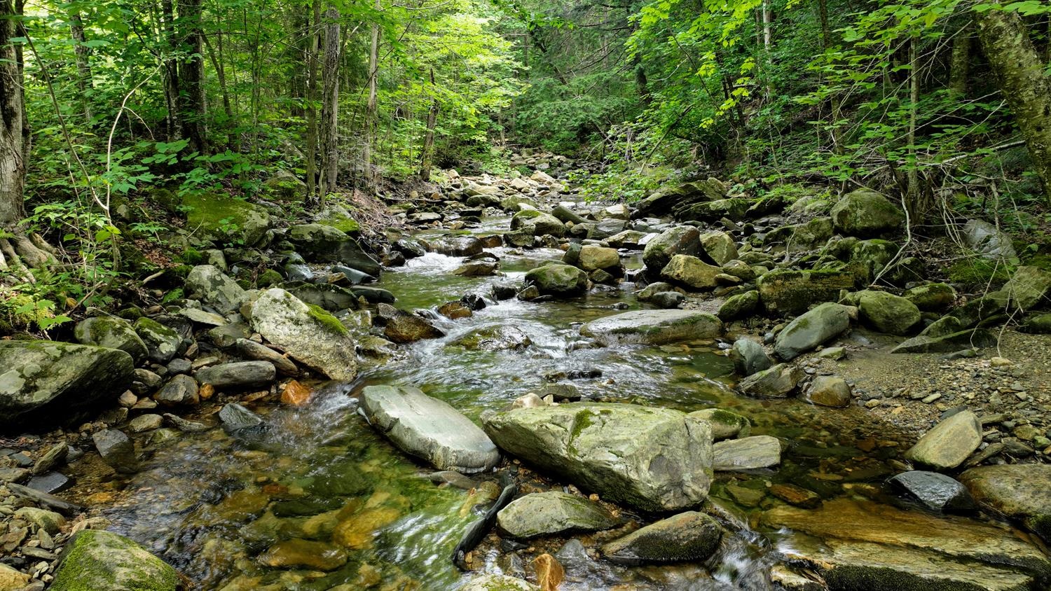 near Lot 48 Partridge Road Ludlow, VT 05149 Property 1