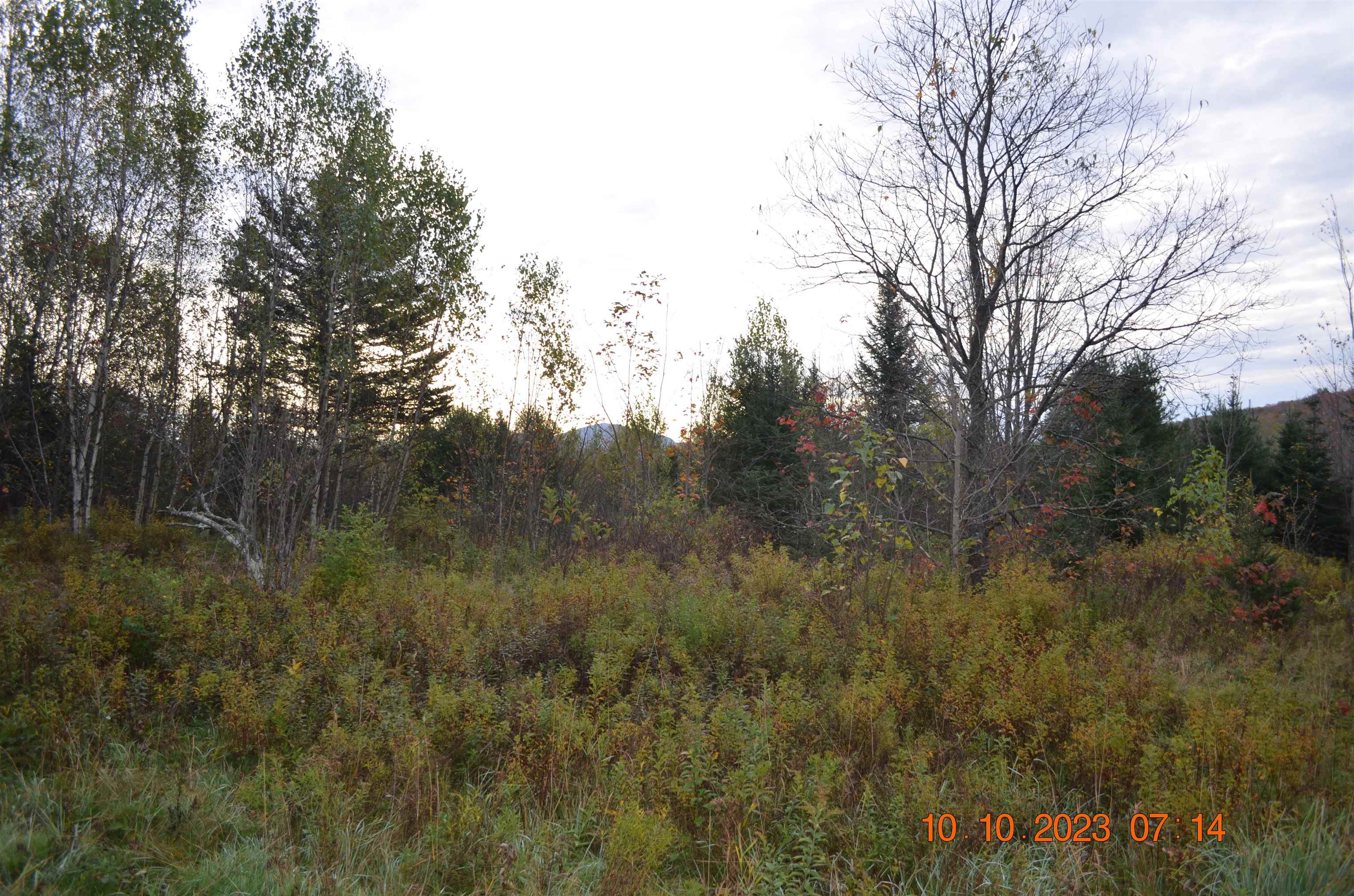 near Newark Street Burke, VT 05871 Property 3