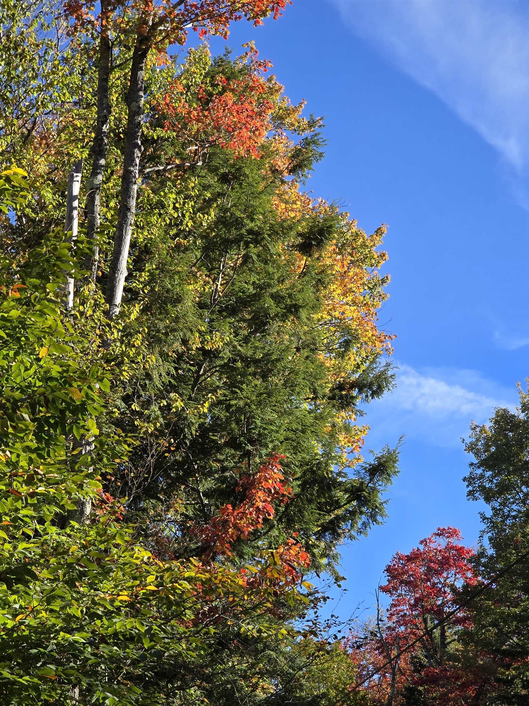 near 0 Sunset Hill Road Pownal, VT 05261 Property 2