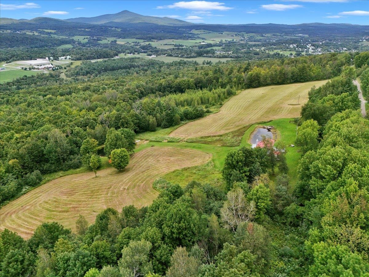 291 Hardwood Hill Road photo 9