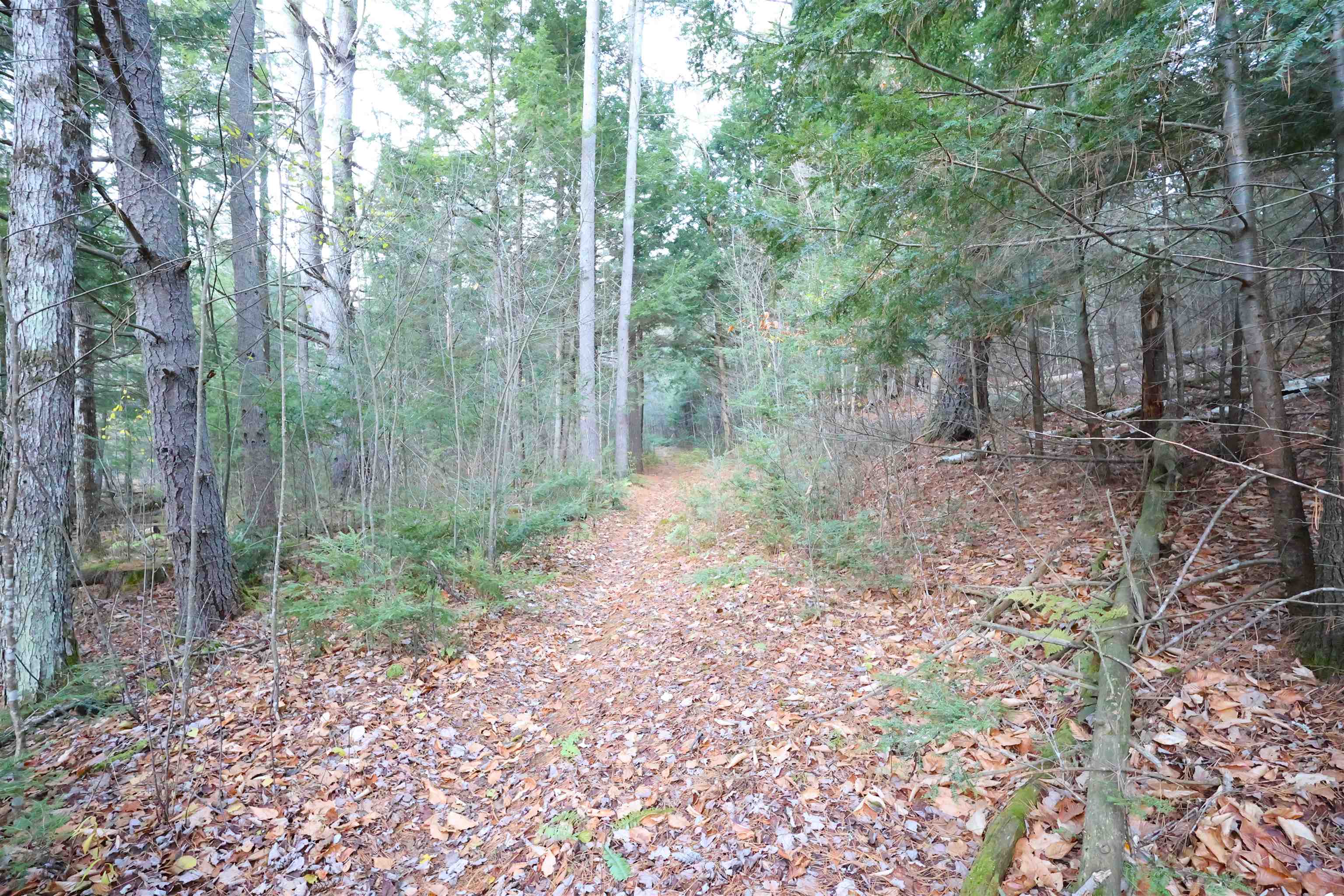 near 0 US Route 5 South Norwich, VT 05055 Property 3