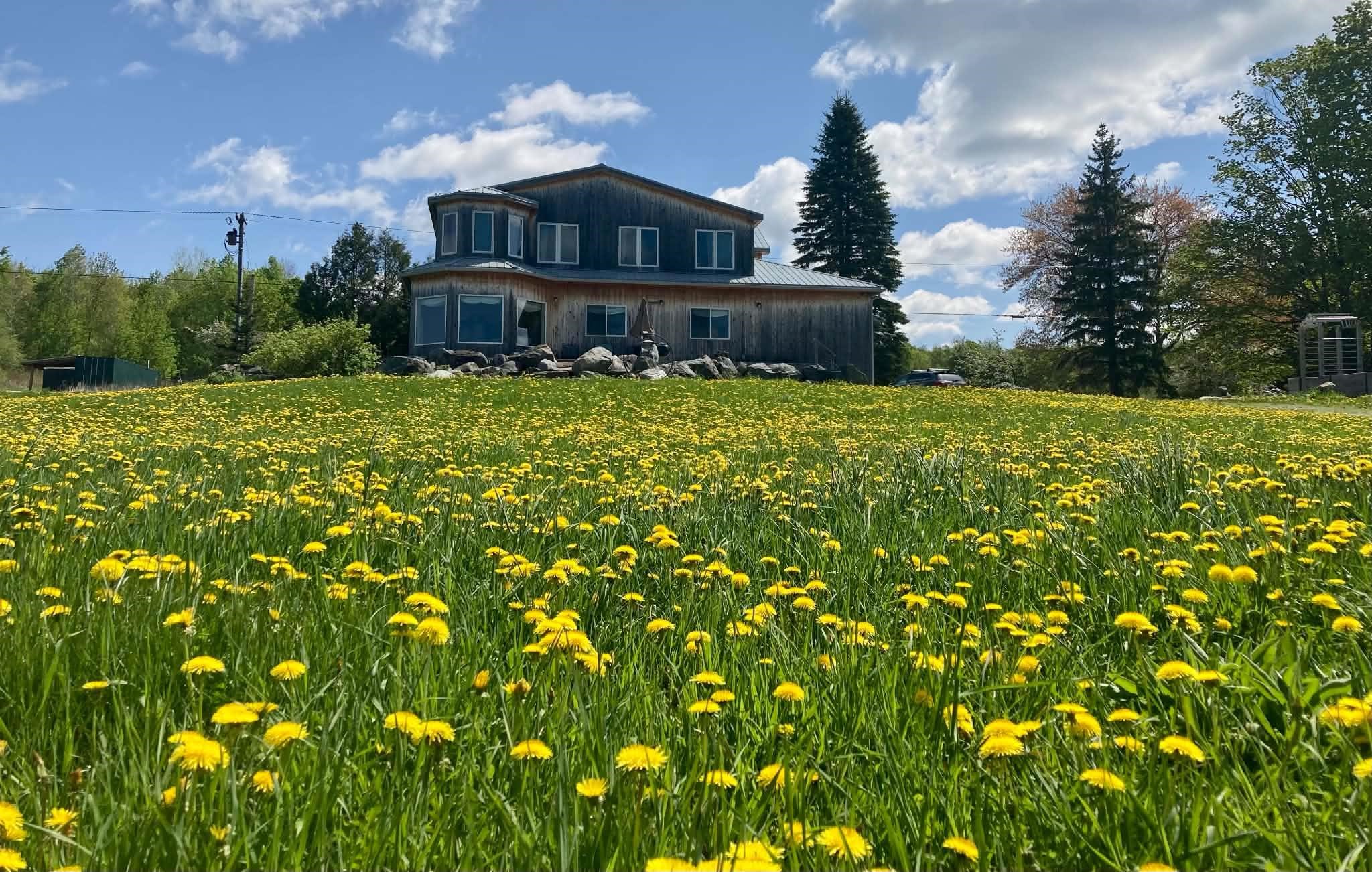 884 Nichols Road photo 54