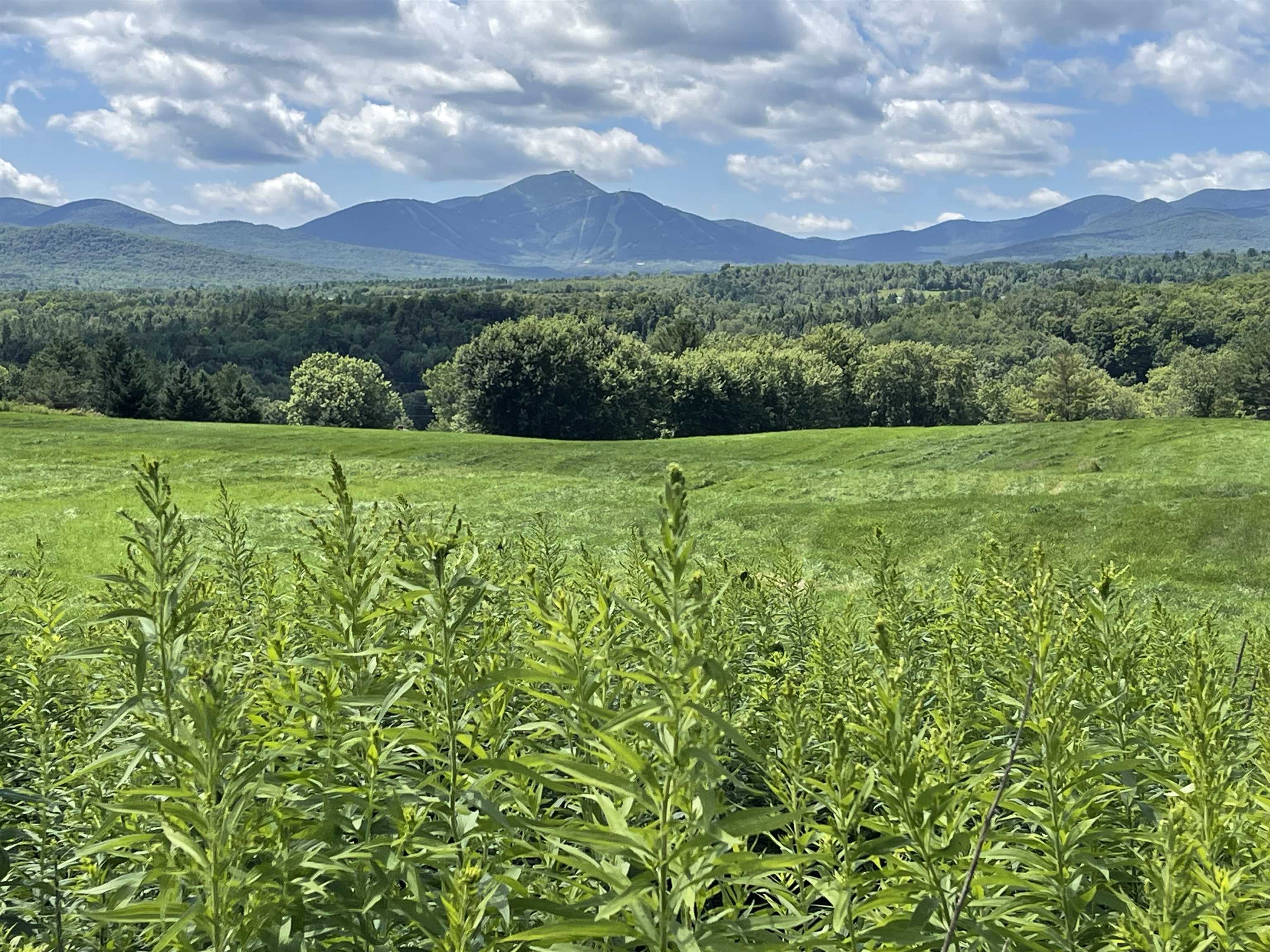 near 00 Bergerpn Road Troy, VT 05859 Property 3