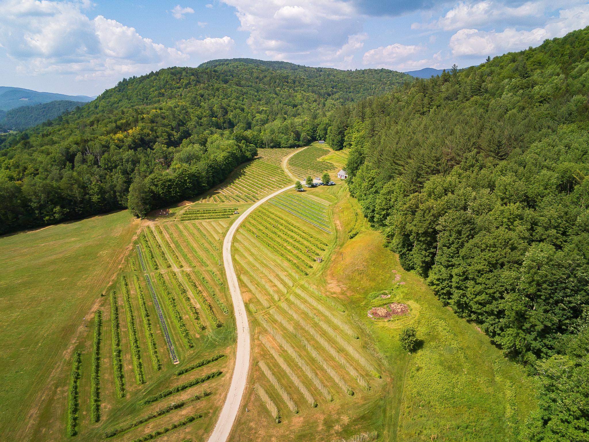 near tbd Quarry Hill Road Rochester, VT 05767 Property 2