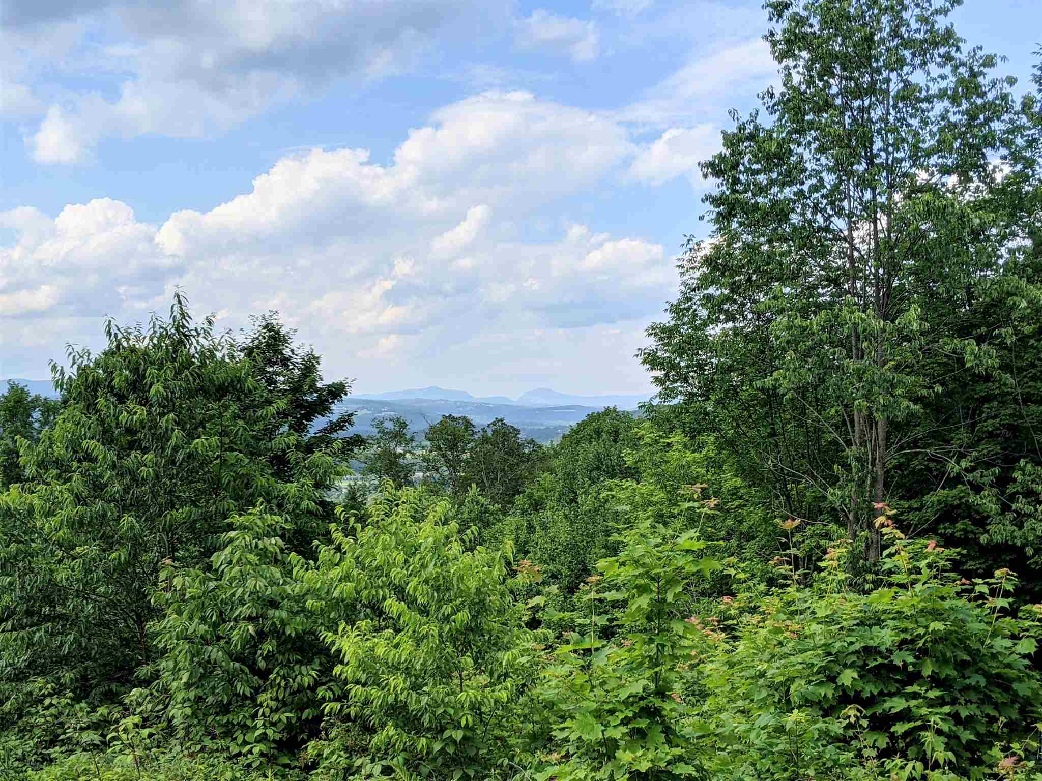 3941 Severance Hill Road photo 11