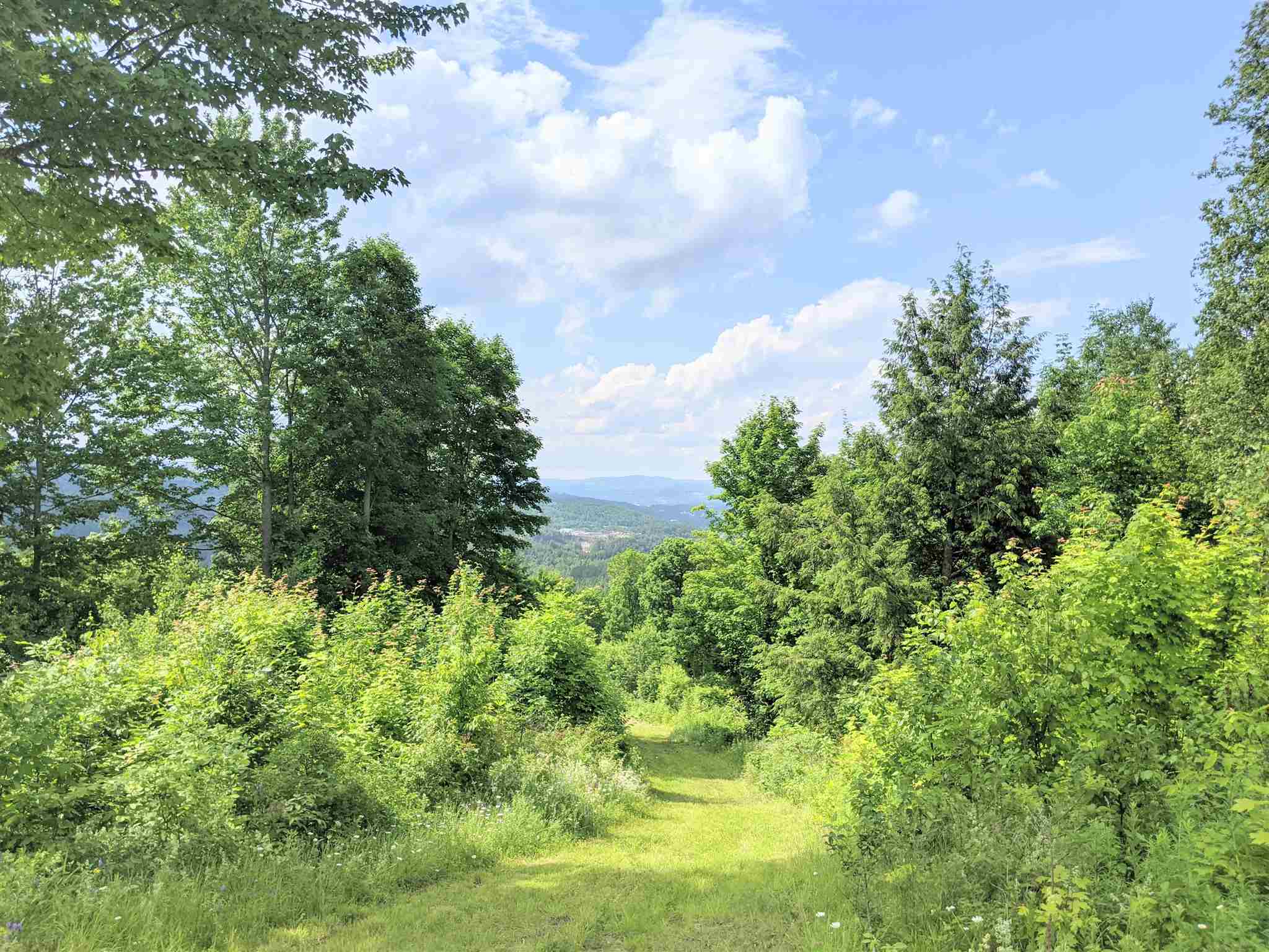 3941 Severance Hill Road photo 17