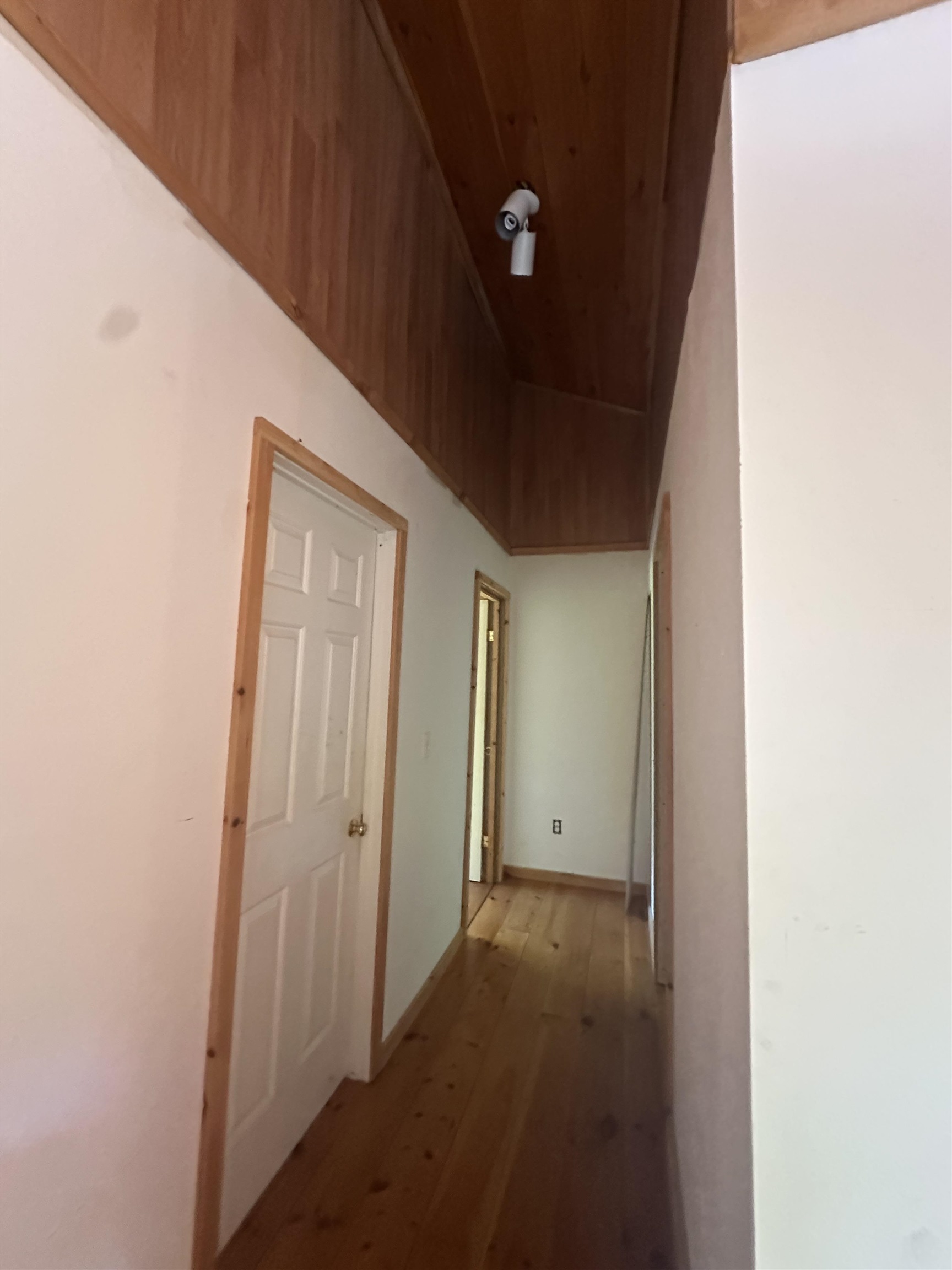 1455 Lake Dunmore Road photo 17