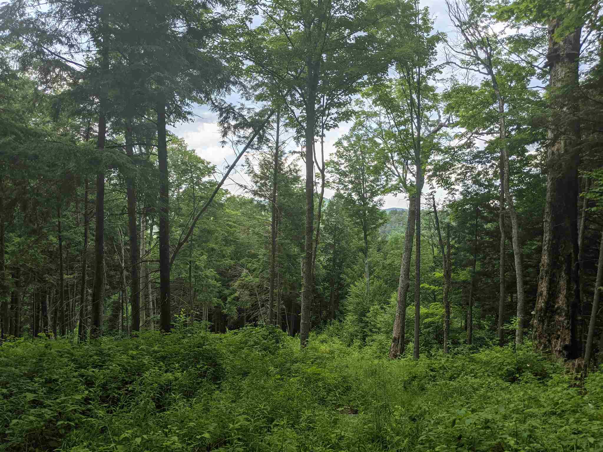 3941 Severance Hill Road photo 19