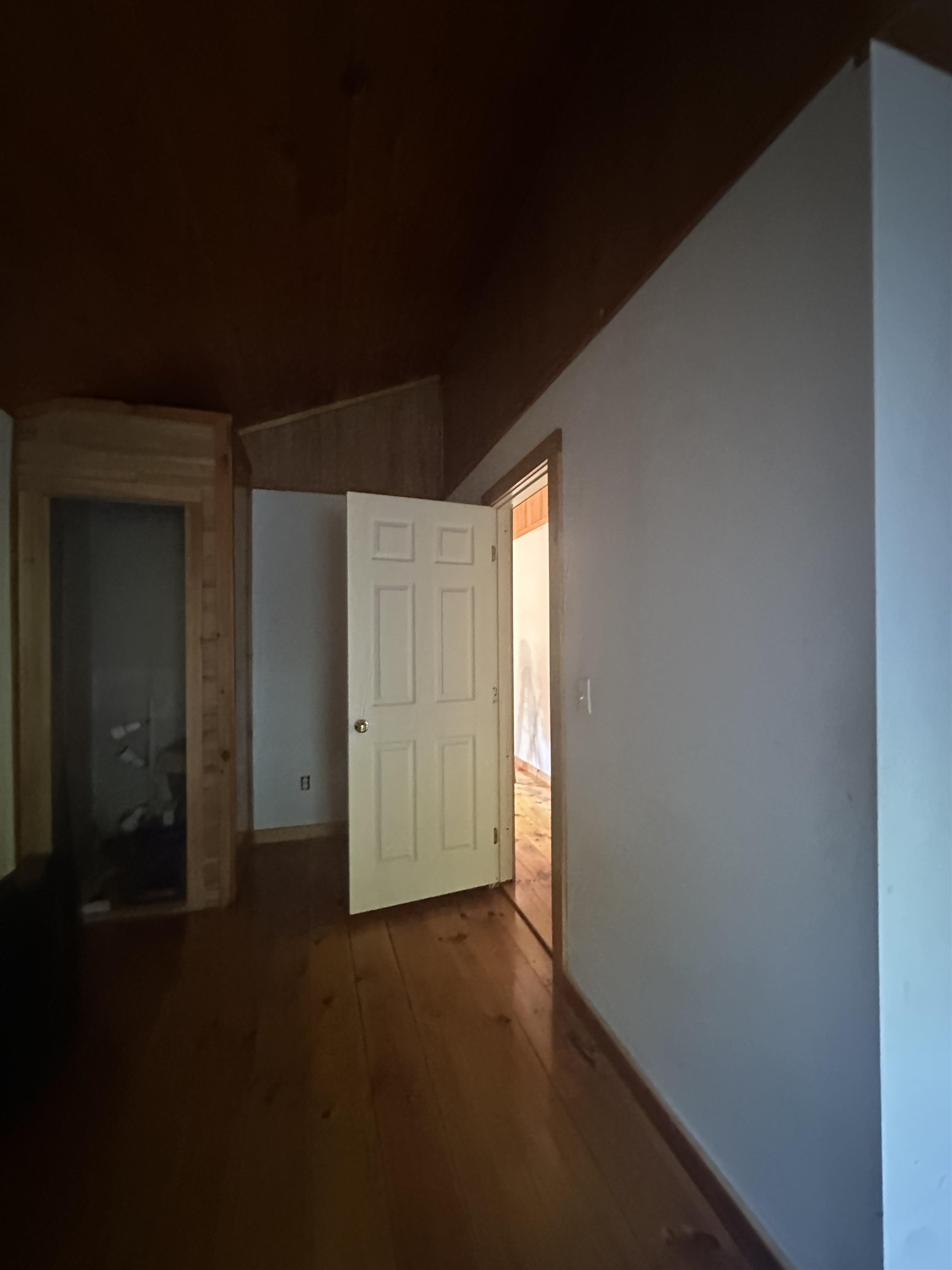 1455 Lake Dunmore Road photo 22