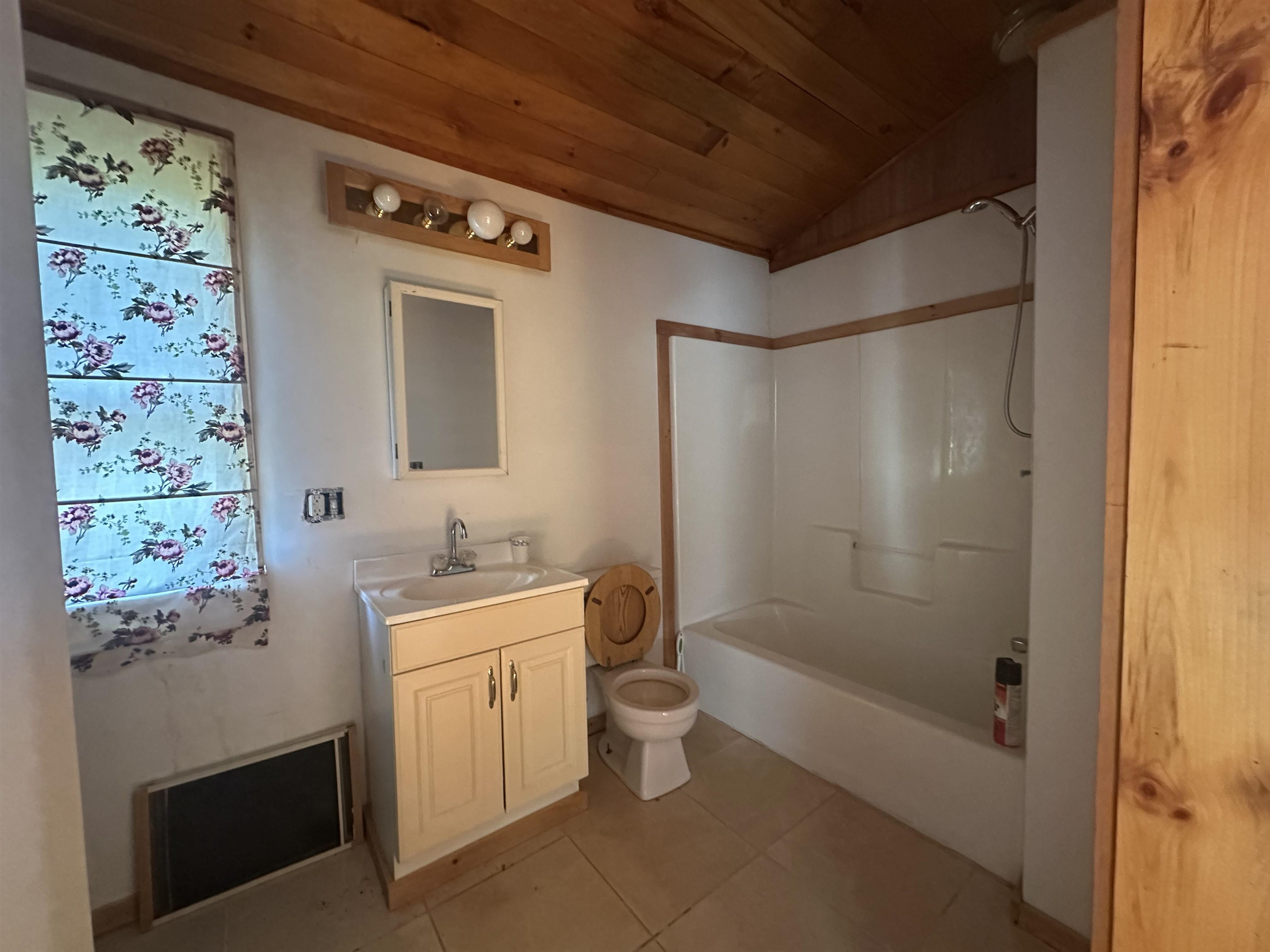 1455 Lake Dunmore Road photo 25