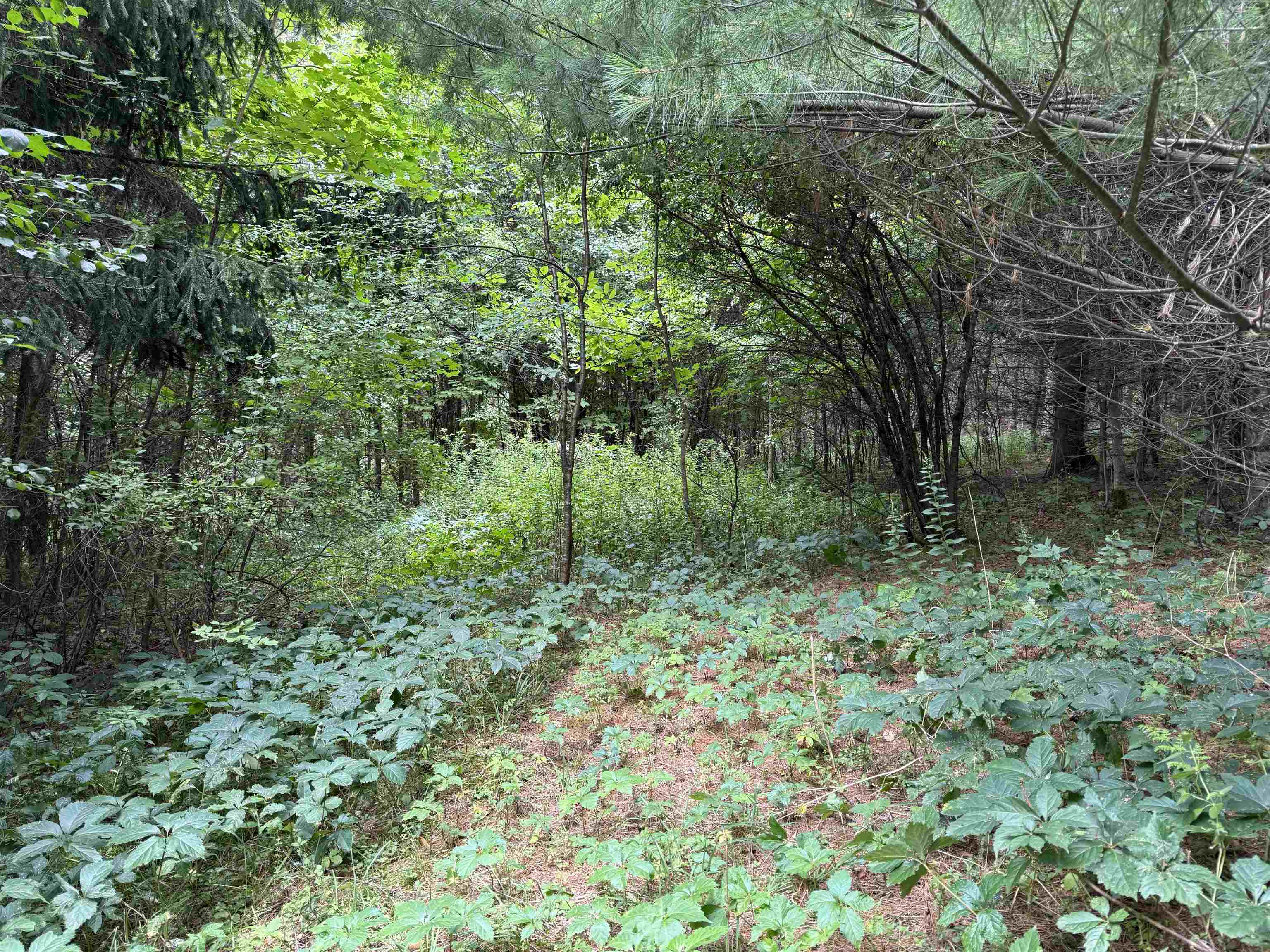 1252 peth Road photo 30