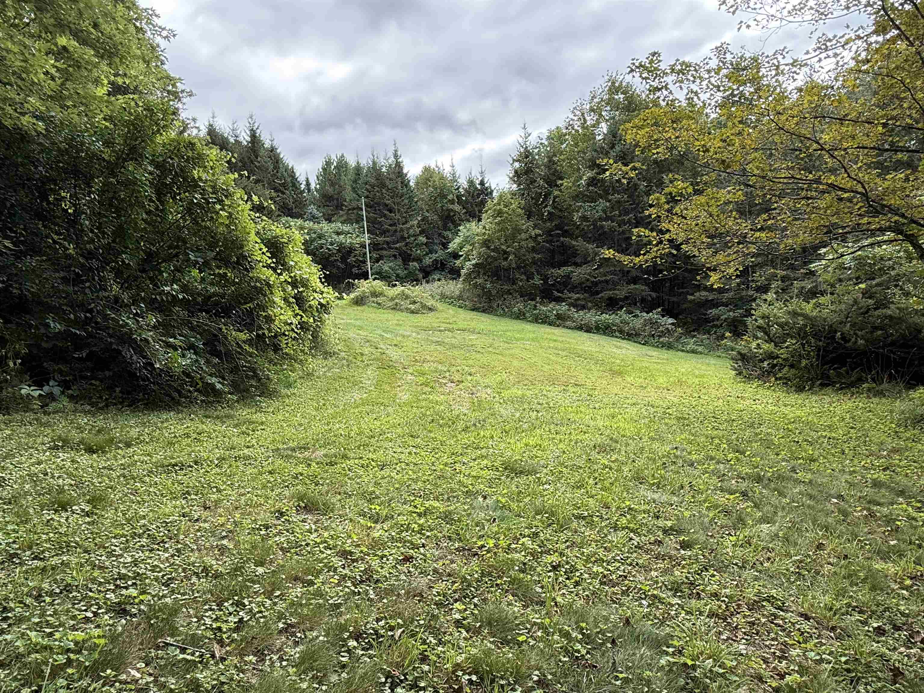 1252 peth Road photo 32